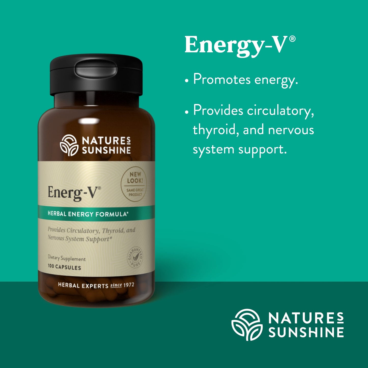 Nature's Sunshine Energ-V - Herbal Blend to Support Energy Levels, 100 Capsules