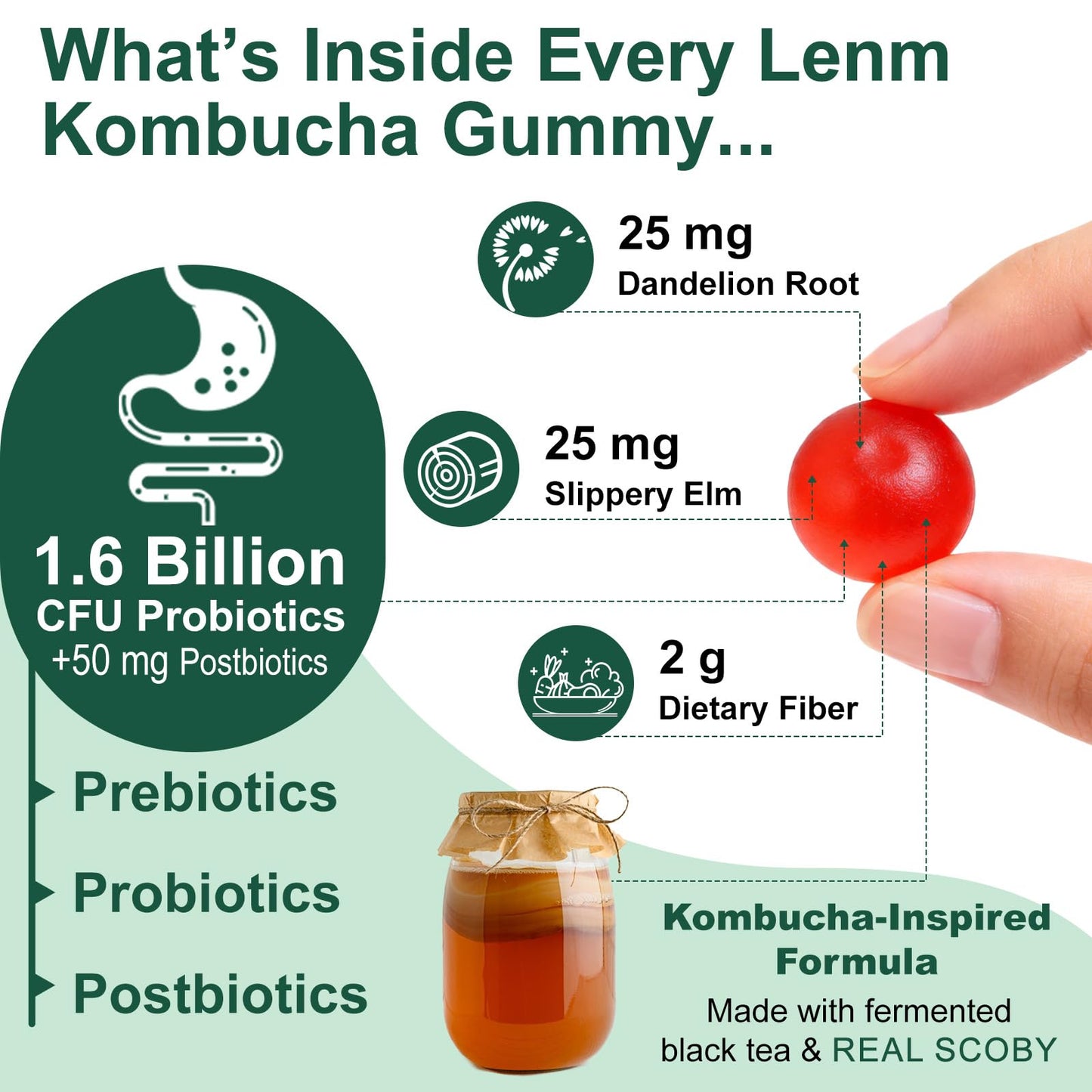 NenMaoKeNu Probiotic Kombucha Gummies, 60 Gummies