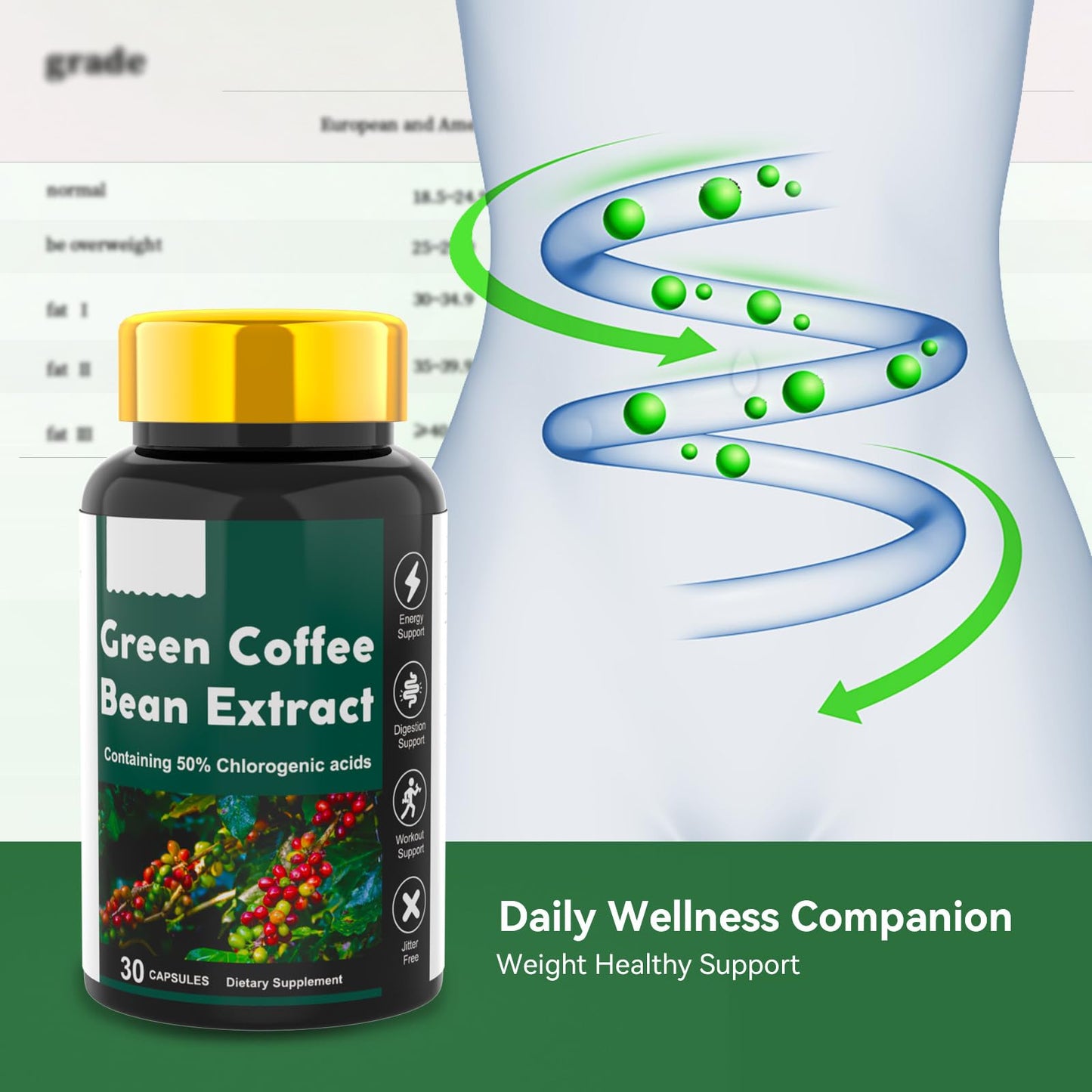 Dr. HR Green Coffee Bean Extract 50% Chlorogenic Acids, Energy and Digestion Support, Jitter Free Capsule, 1 Count