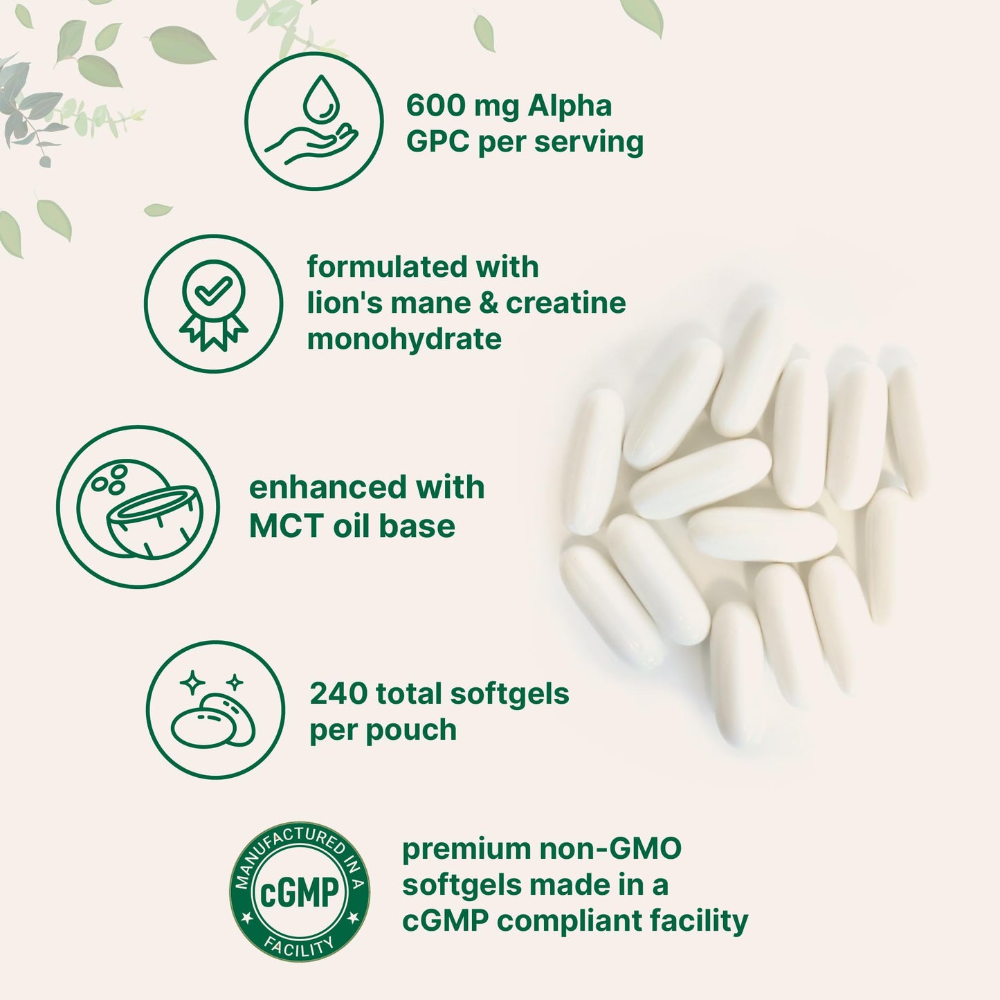 Micro Ingredients Alpha GPC 600mg per Serving with MCT Oil Softgels 240