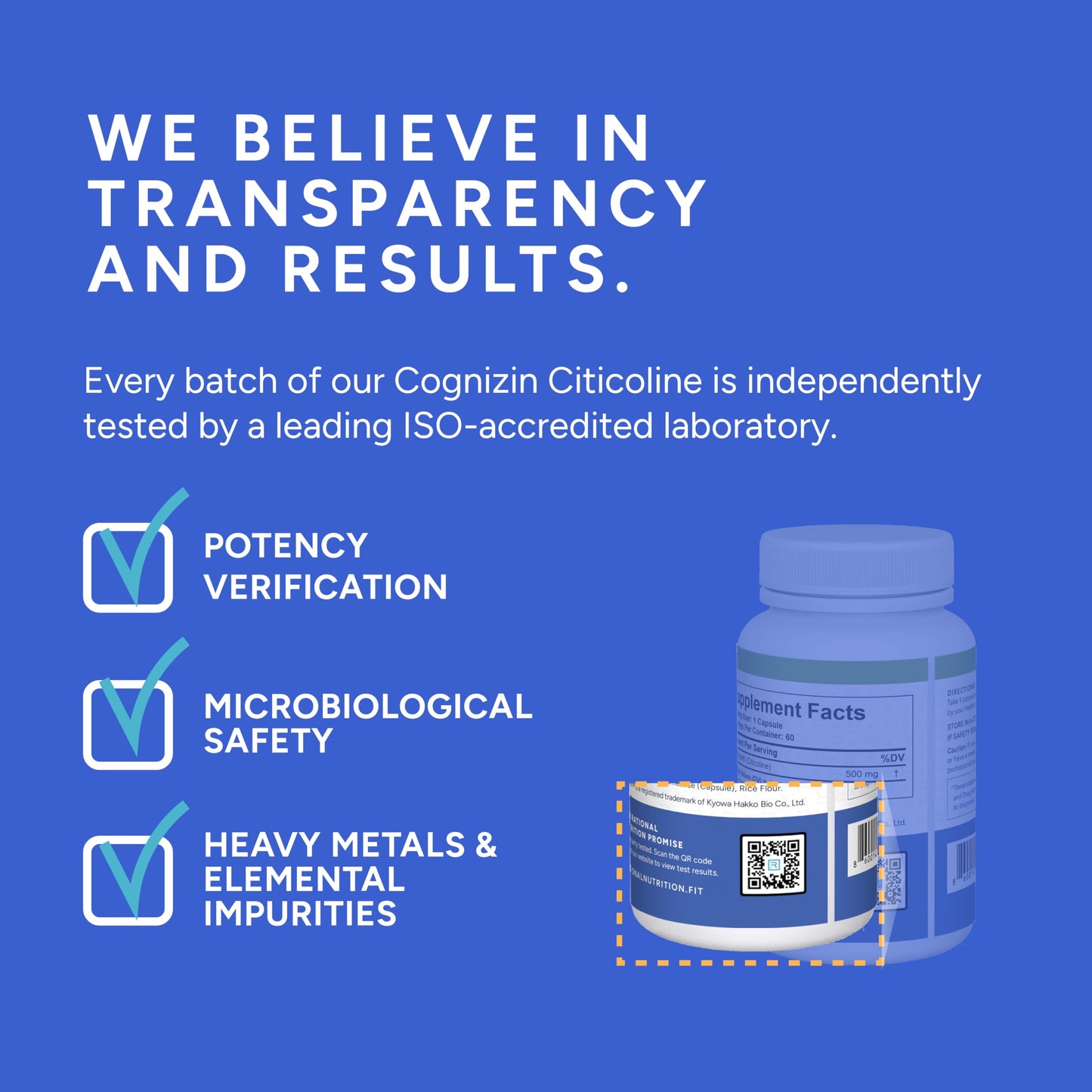 Rational Nutrition Cognizin Citicoline 500mg Capsules – CDP Choline Brain Support for Focus, Memory & Mental Clarity – 60 Count