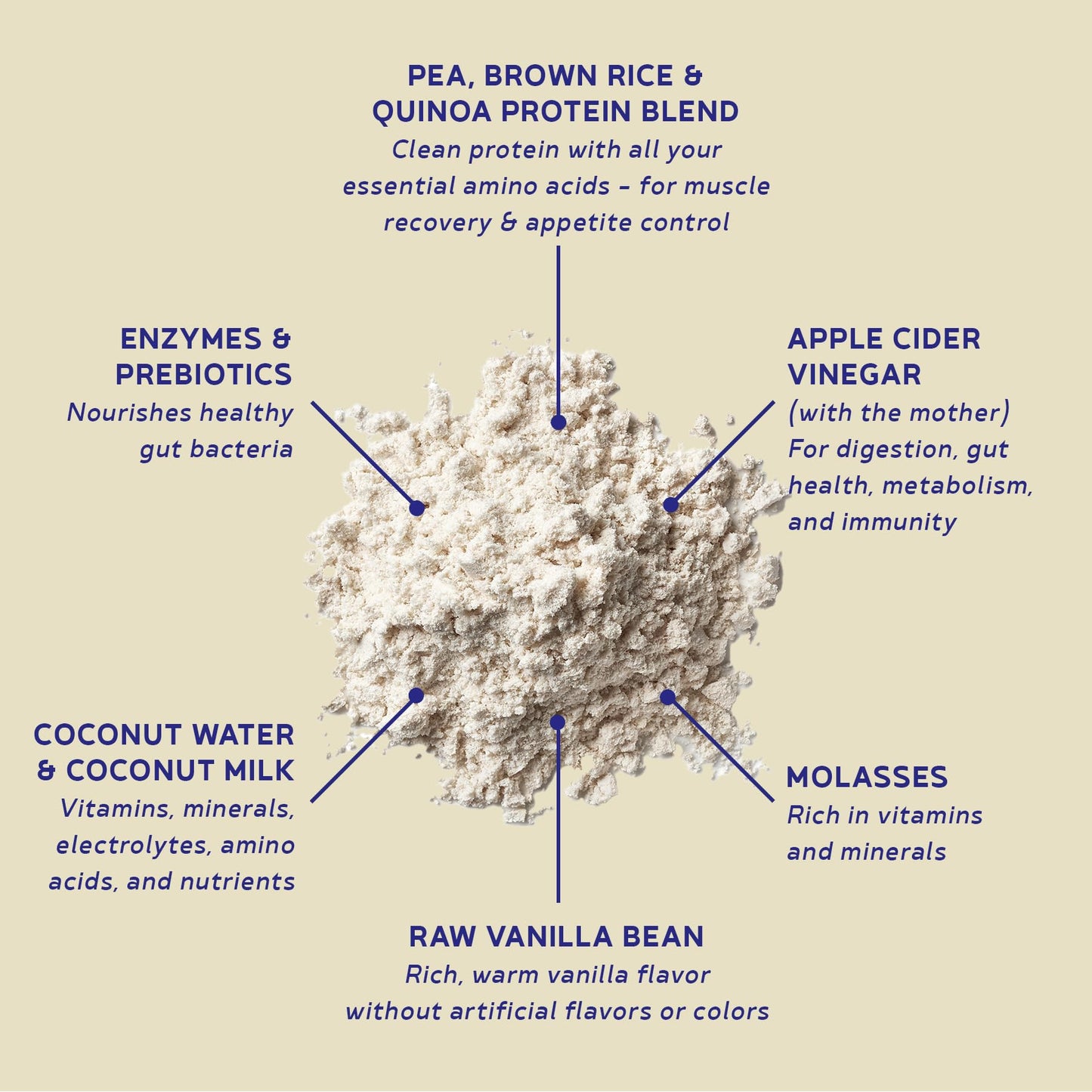 BBfL Plant-Based Protein Shake Powder, 9.2