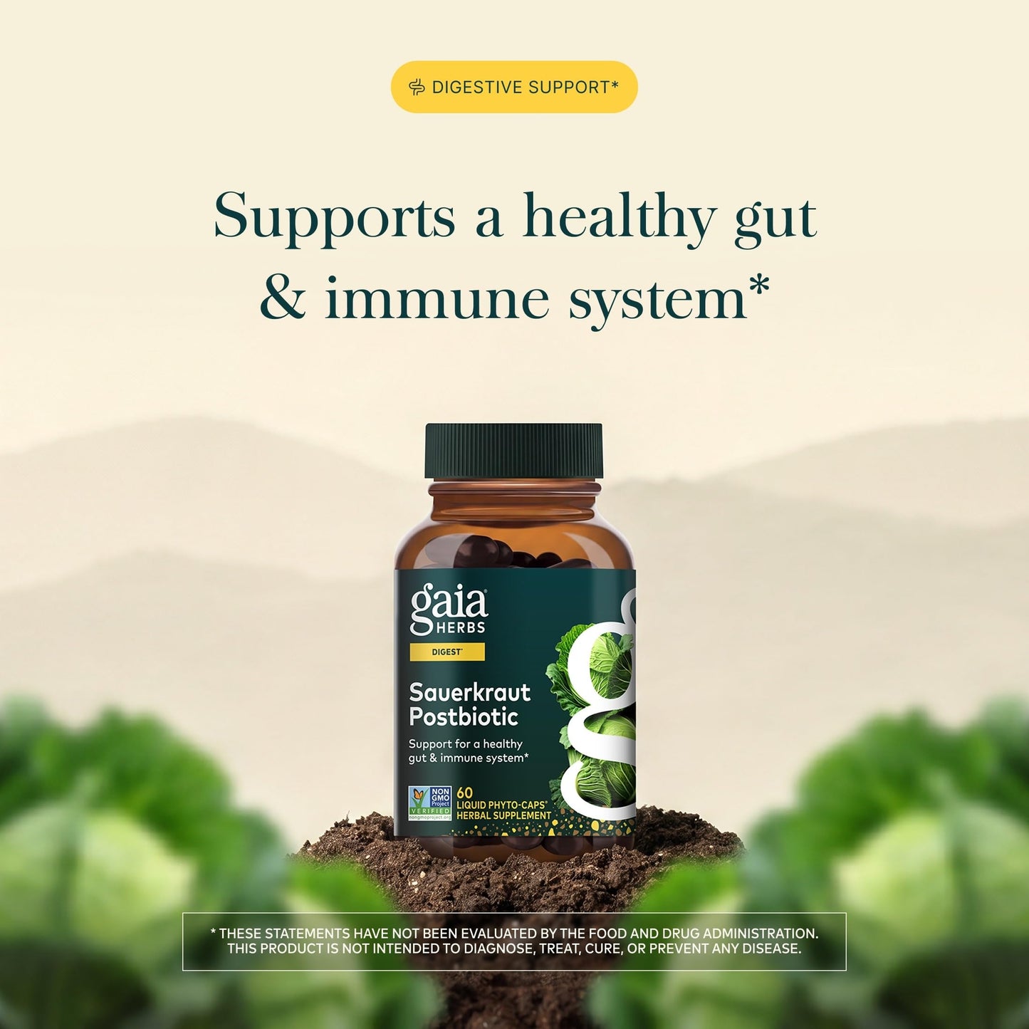 Gaia Herbs Sauerkraut Postbiotic Gut Health & Immune Support Capsule, 60 Count