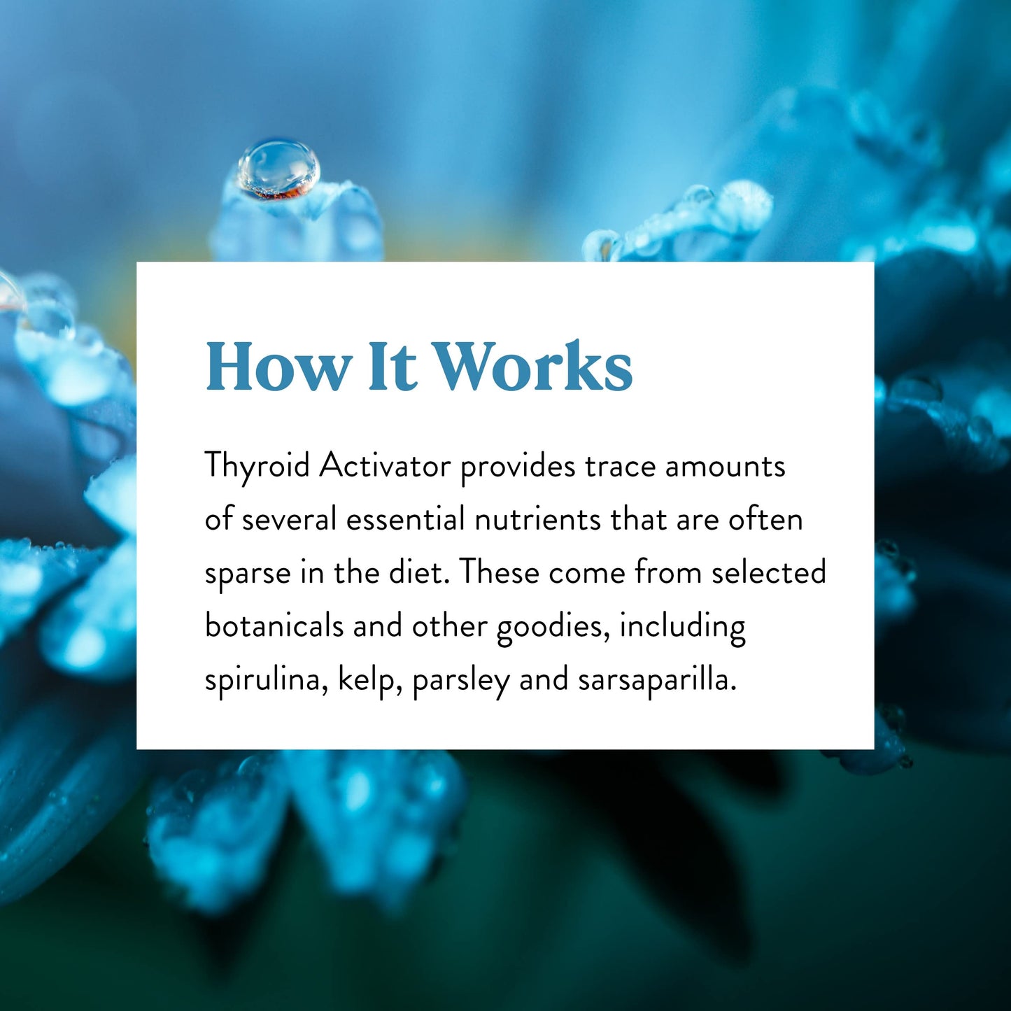 Nature's Sunshine Thyroid Activator Capsules 100 Count