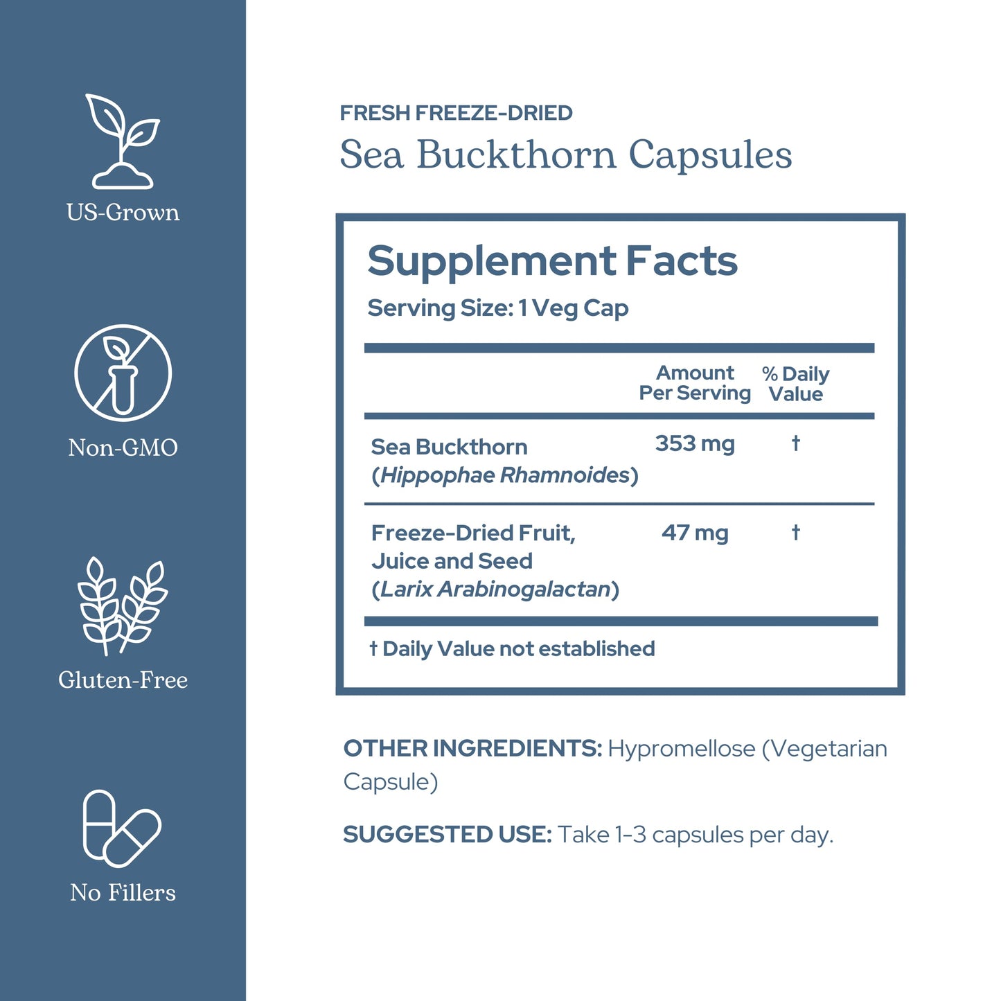 Eclectic Institute Sea Buckthorn Capsules 90 Count