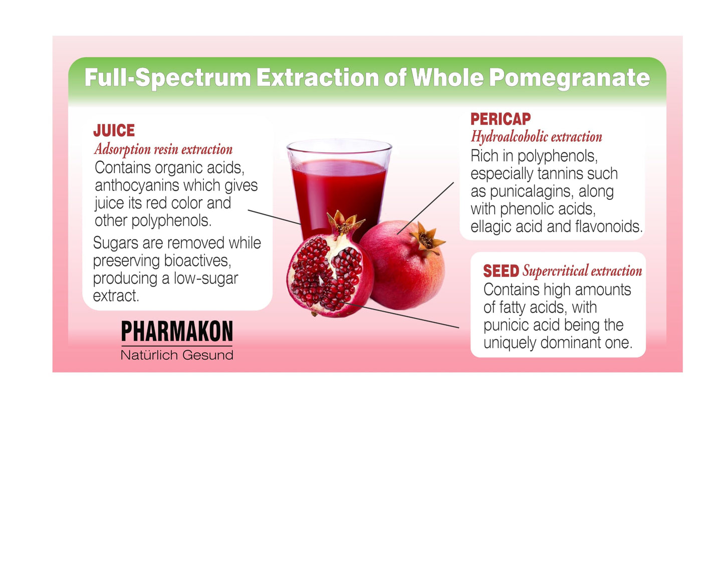 PHARMAKON Wholesome Pomegranate Extract Softgels 90 Count