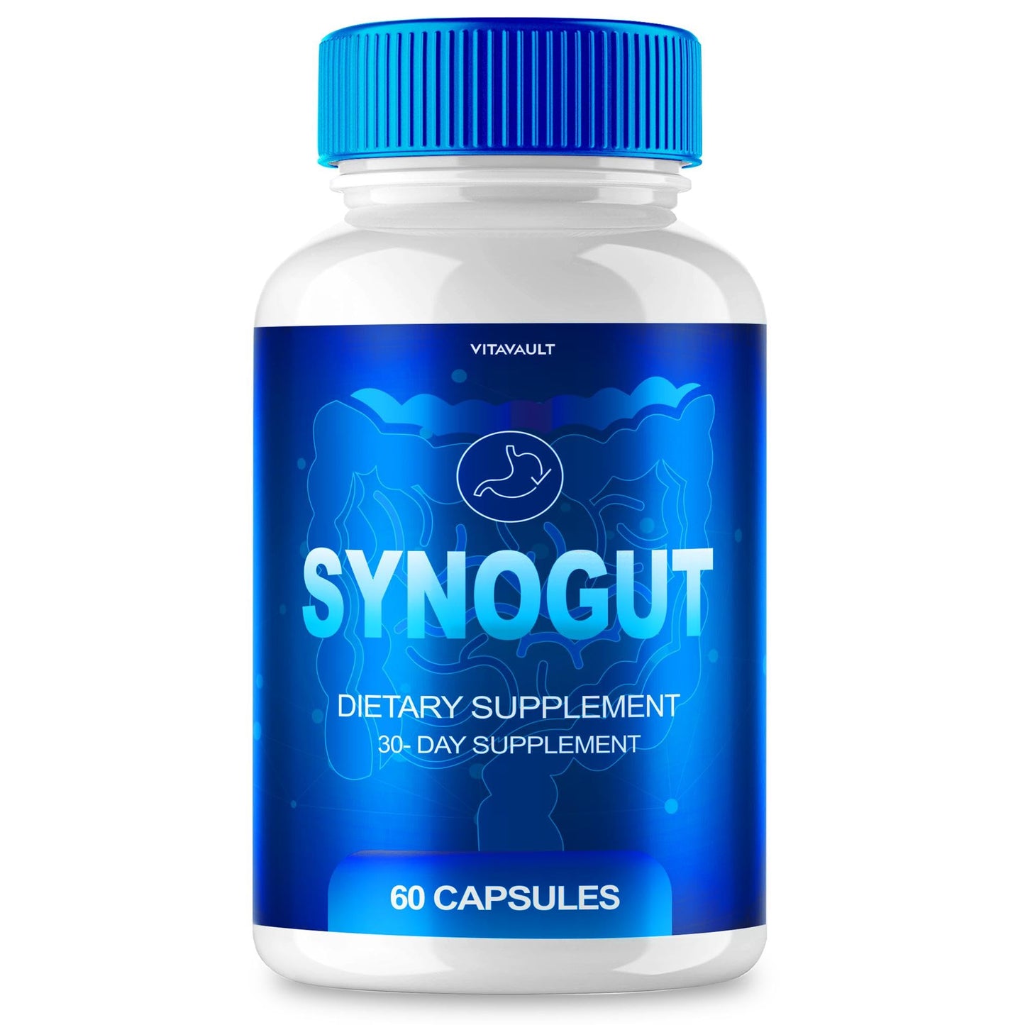 Vitavault Synogut Digestive Health Support Capsules, 60 Capsules