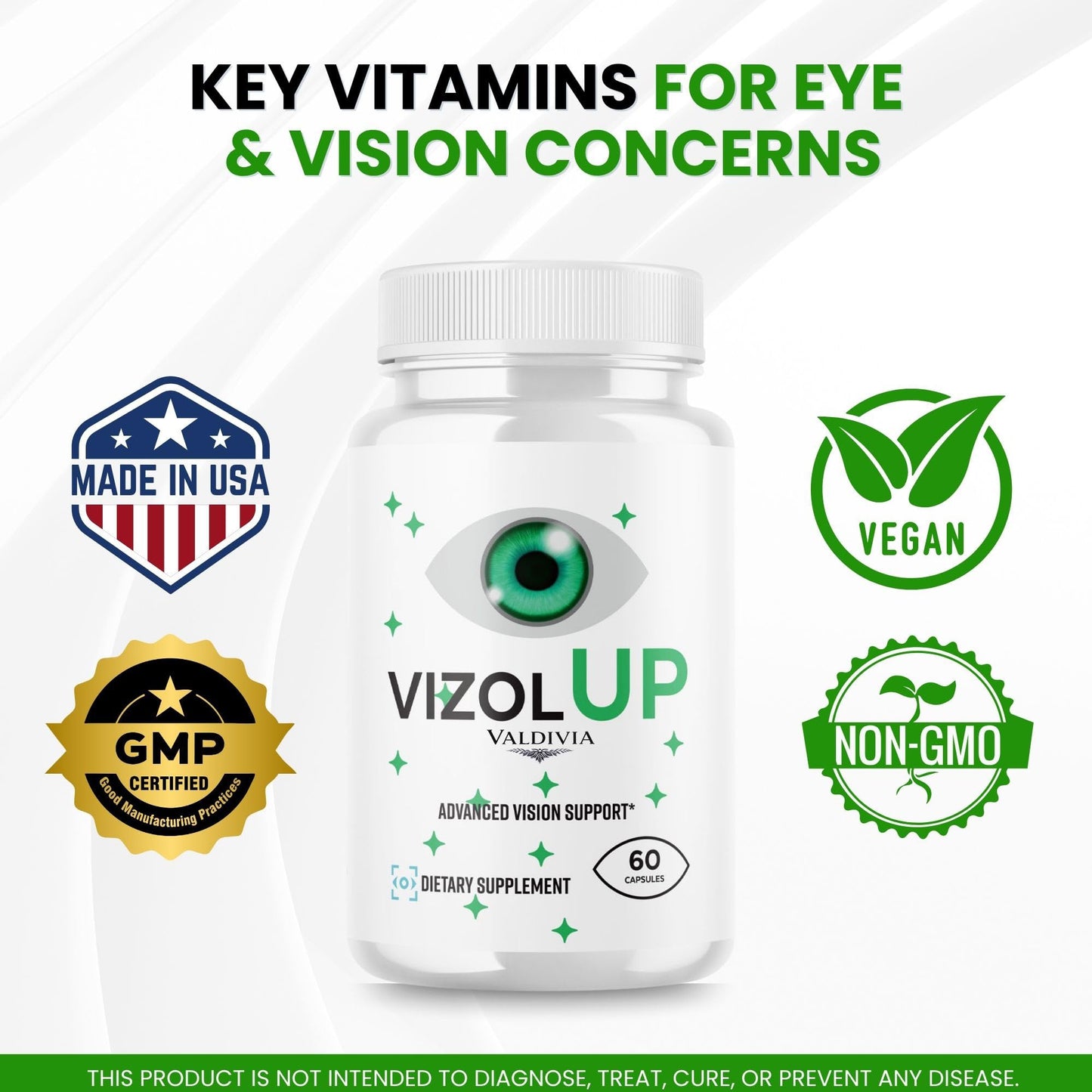 Valdivia VizolUp Vision Support Capsules 120 Capsules