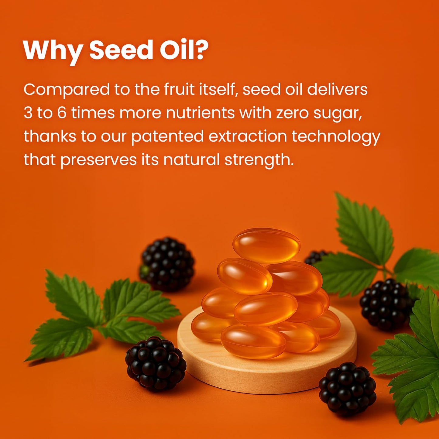 KIM'S TABLE Black Seed Oil Capsule 30 Count