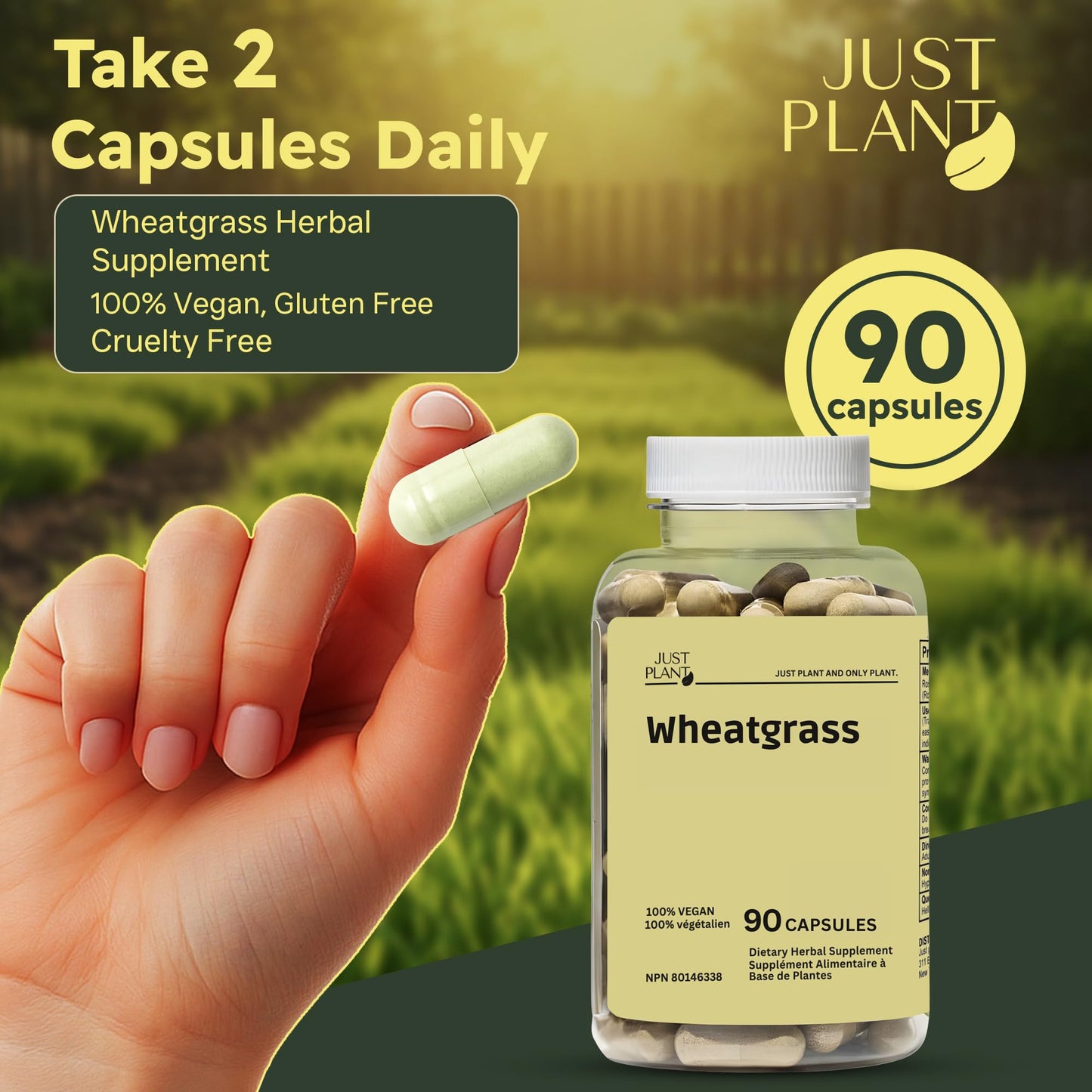 Just Plant Organic Wheat Grass Capsules 500 mg, 90 Count