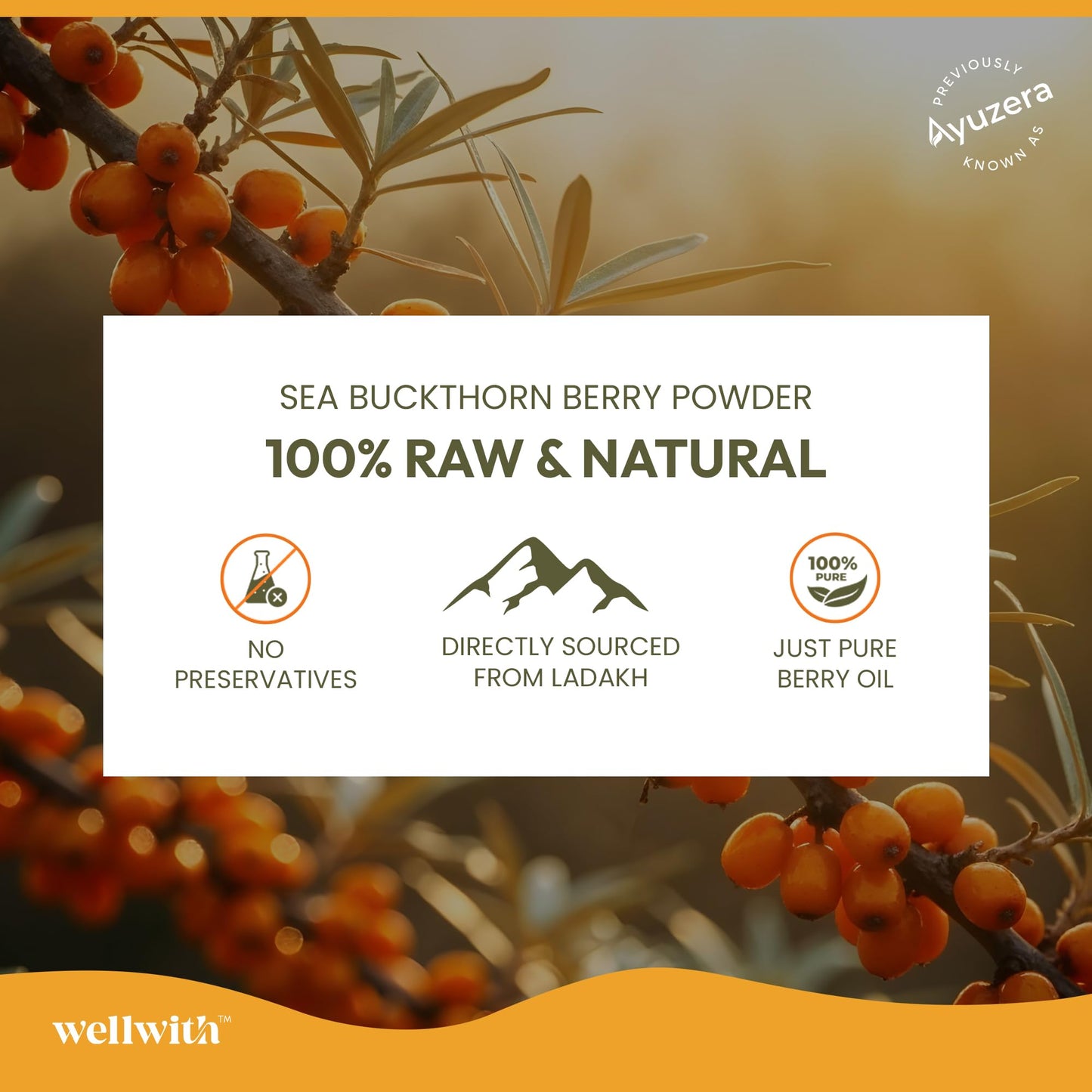 Wellwith Sea Buckthorn Berry Oil Vegan Omega 7 500mg Capsule, 1 Count