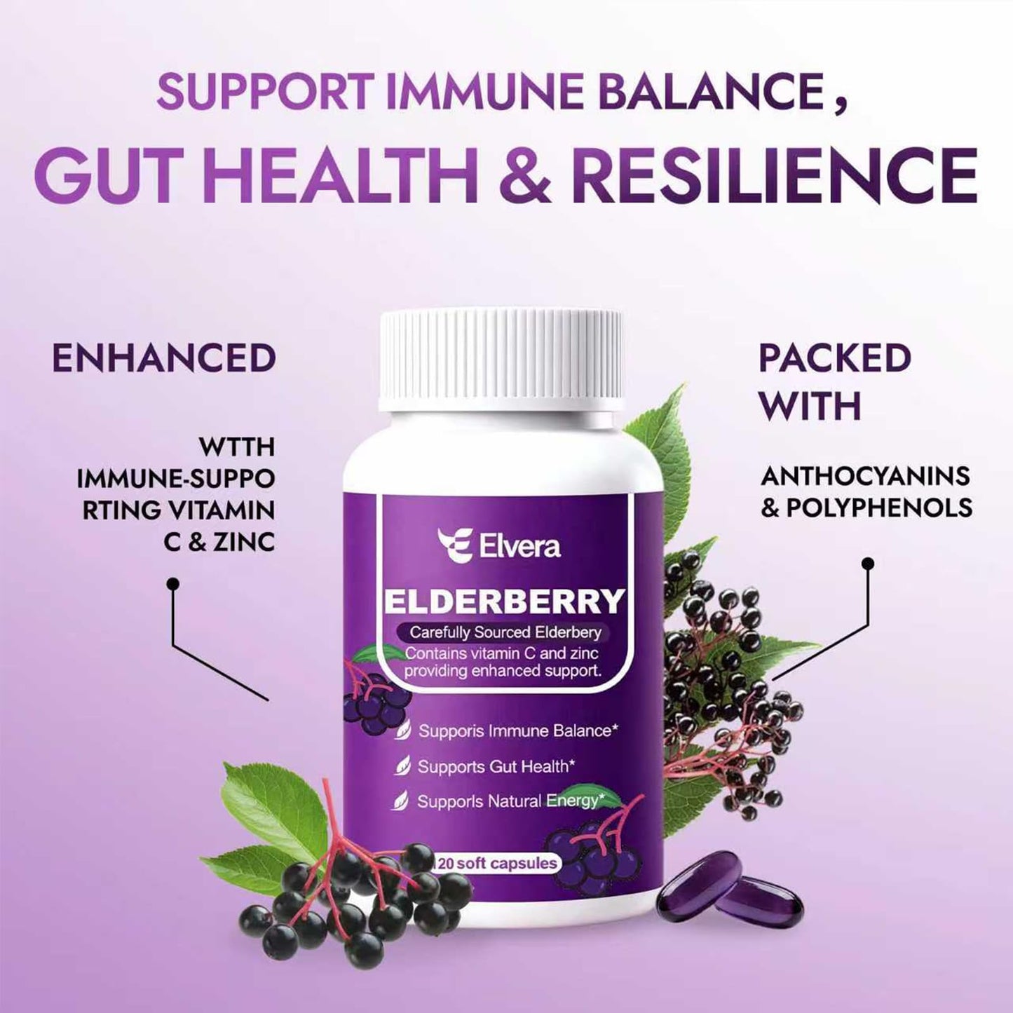 ReviveNerve Elvera Elderberry Softgel 120