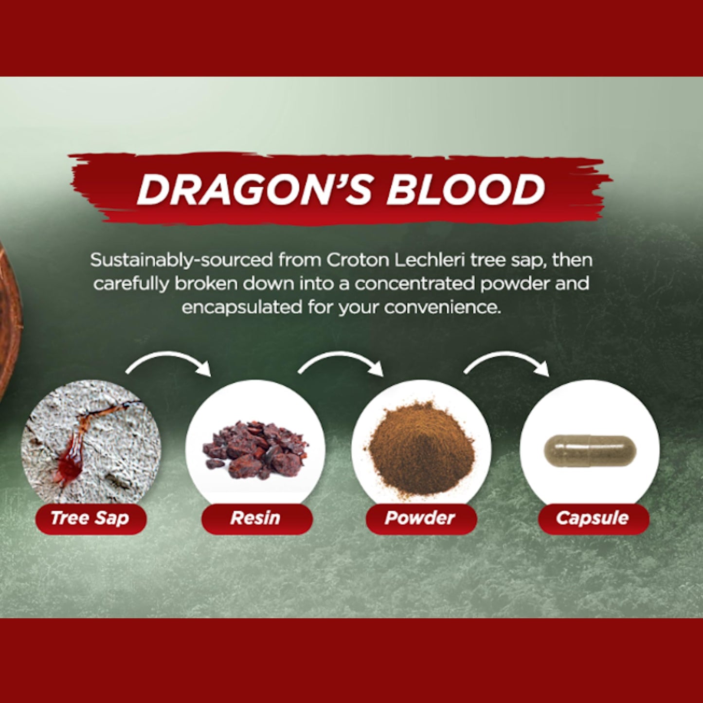 Vital Planet Dragon's Blood Resin Extract Croton Lechleri Sangre de Drago Digestive Health Supplement 500mg, Capsule, 60 Count