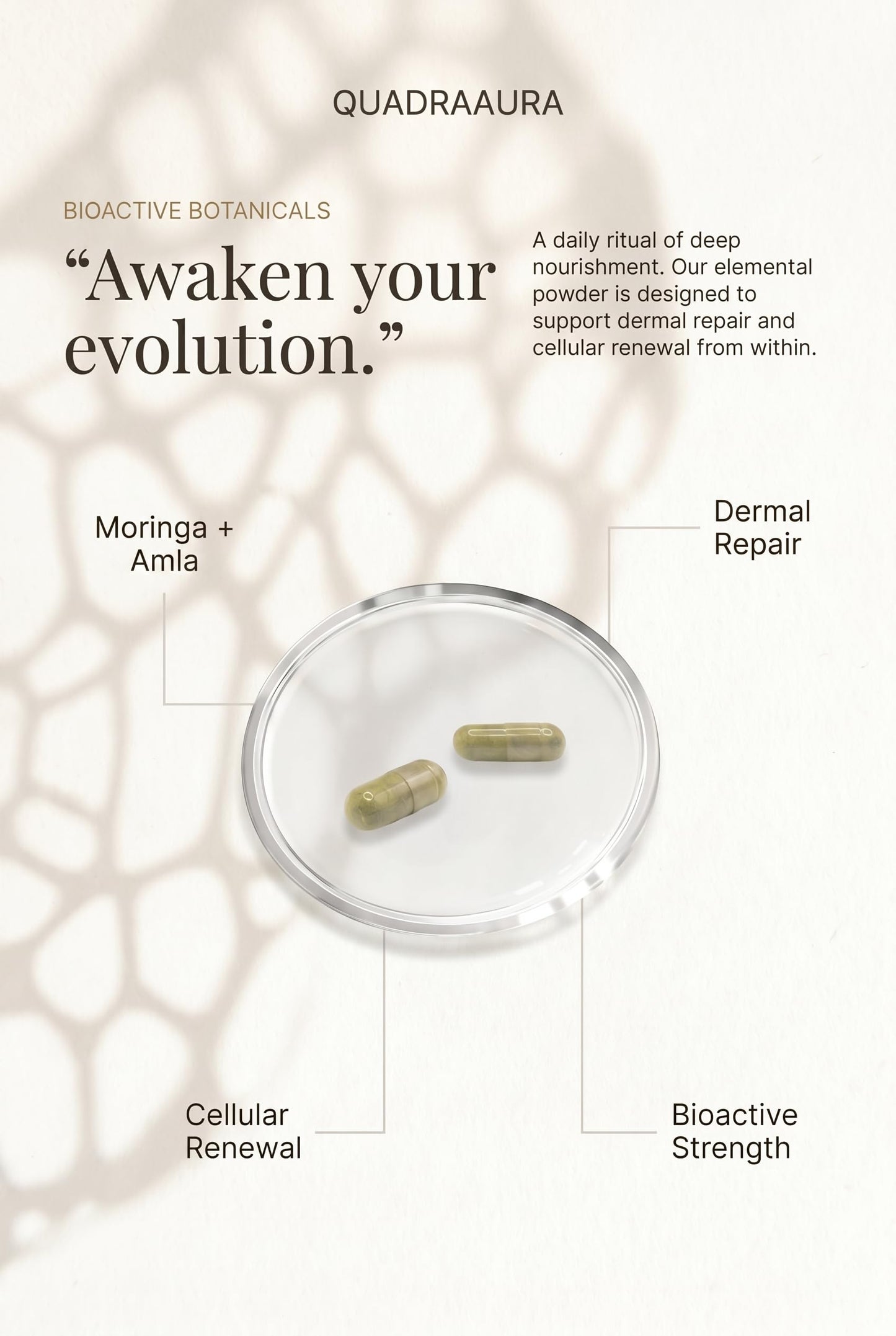 QUADRAAURA Moringa + Amla Premium Superfood Capsule, 90 Capsules