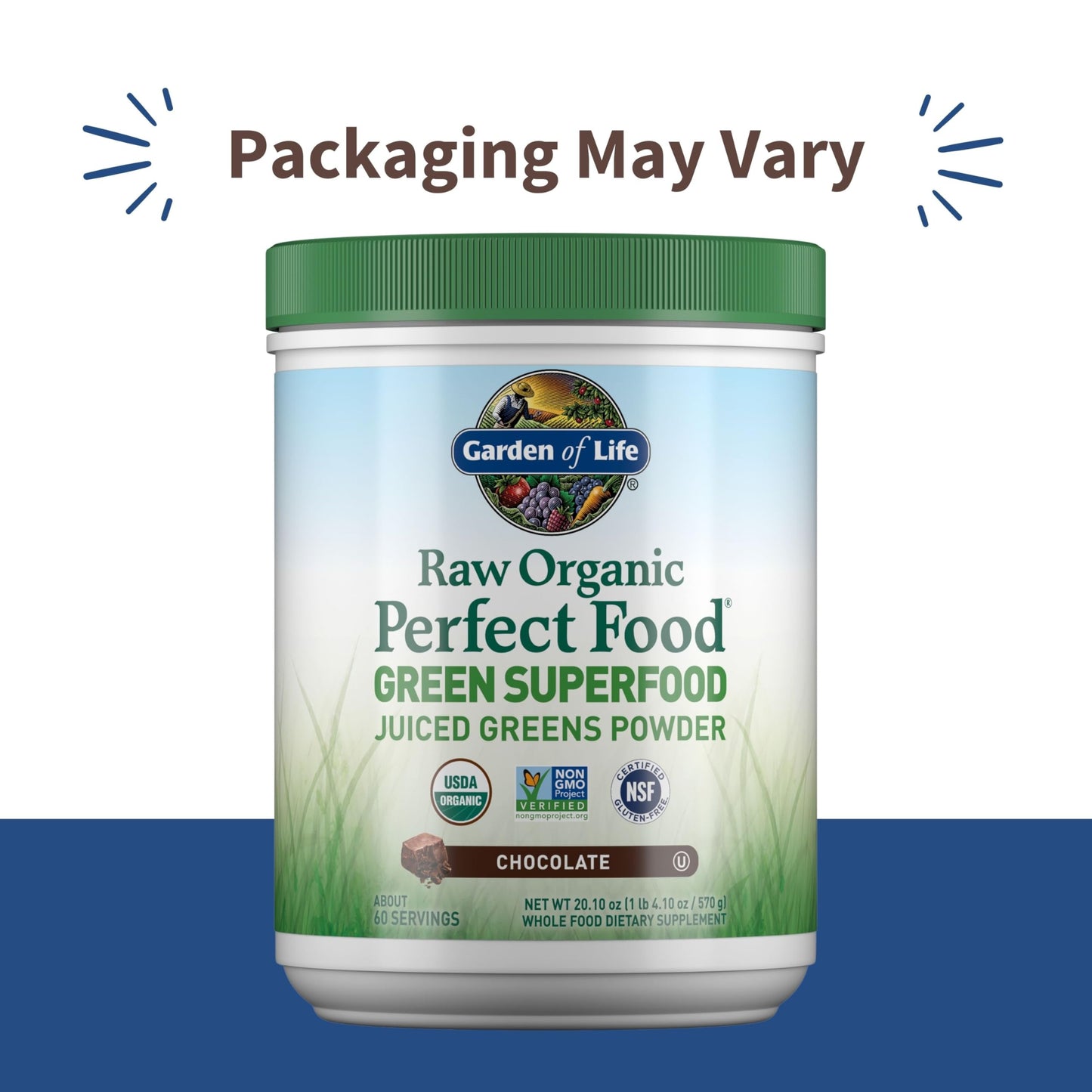 Garden of Life Raw Organic Perfect Food Chocolate Powder 20.1 oz