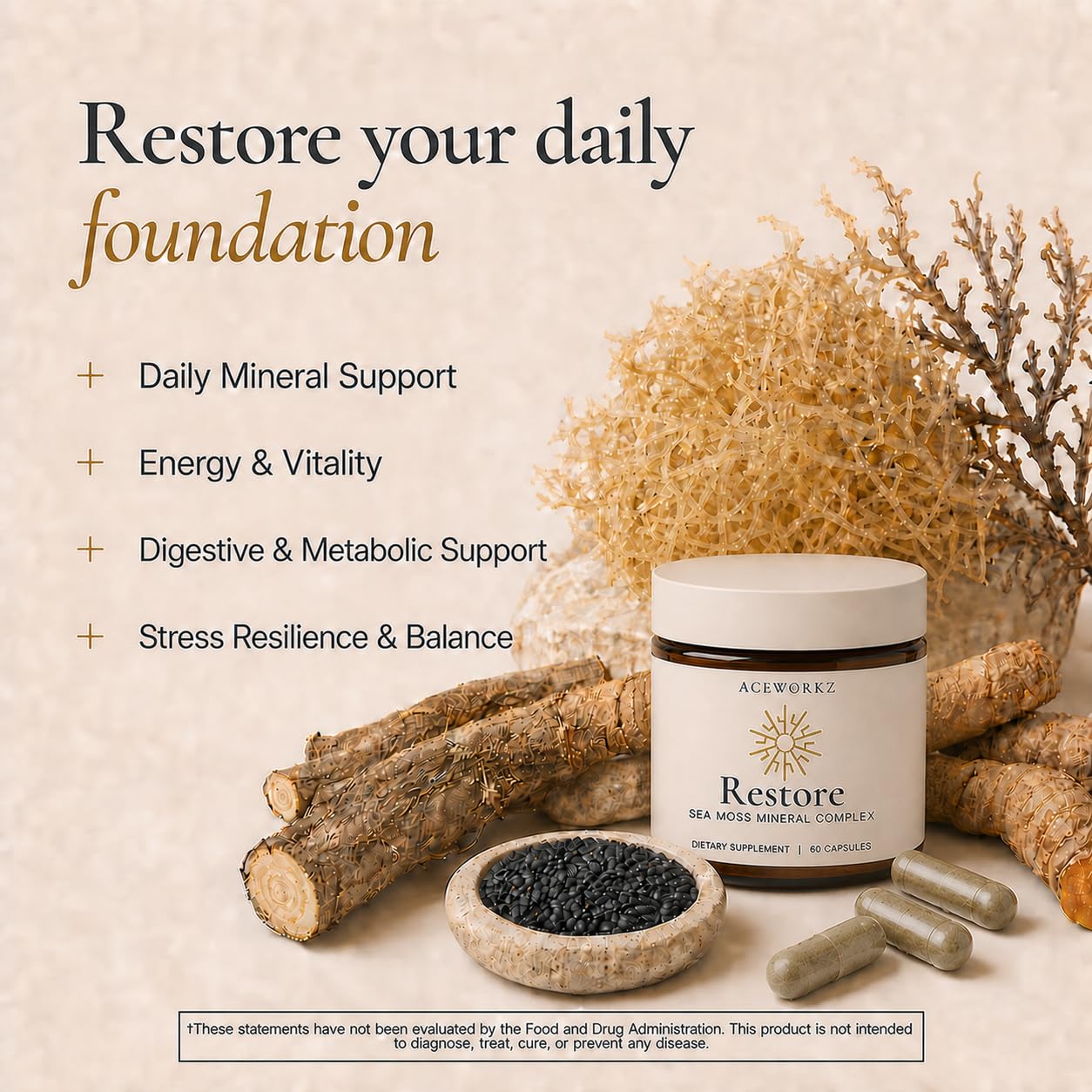 ACEWORKZ Restore Organic Sea Moss Mineral Complex – Daily Mineral Support with Black Seed Oil, Bladderwrack, Burdock, Ashwagandha, Turmeric, ACV & Shilajit – BioPerine Enhanced Absorption, 60 Capsules