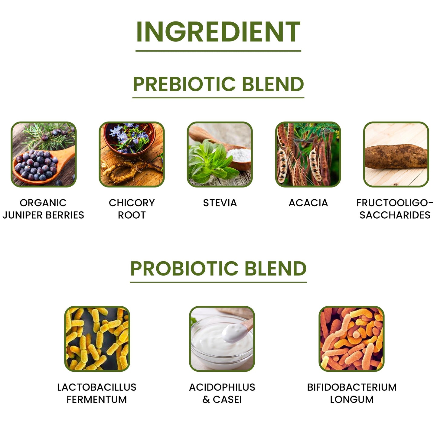 Green Organic Supplements Probiotics + Prebiotics 90 Capsules