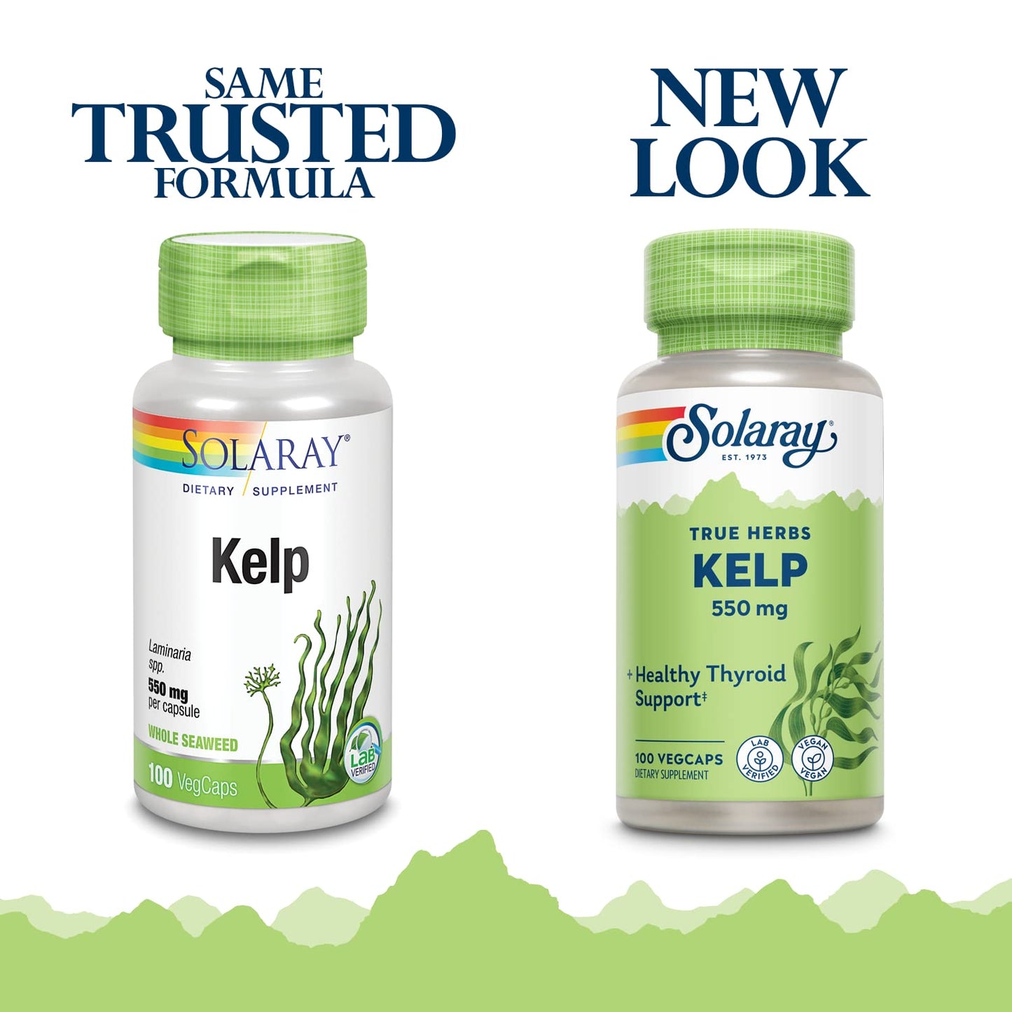 Solaray Kelp 550 mg with Folic Acid for Healthy Thyroid Function, Energy & Metabolism Support, Non-GMO, Capsules, 100 Count