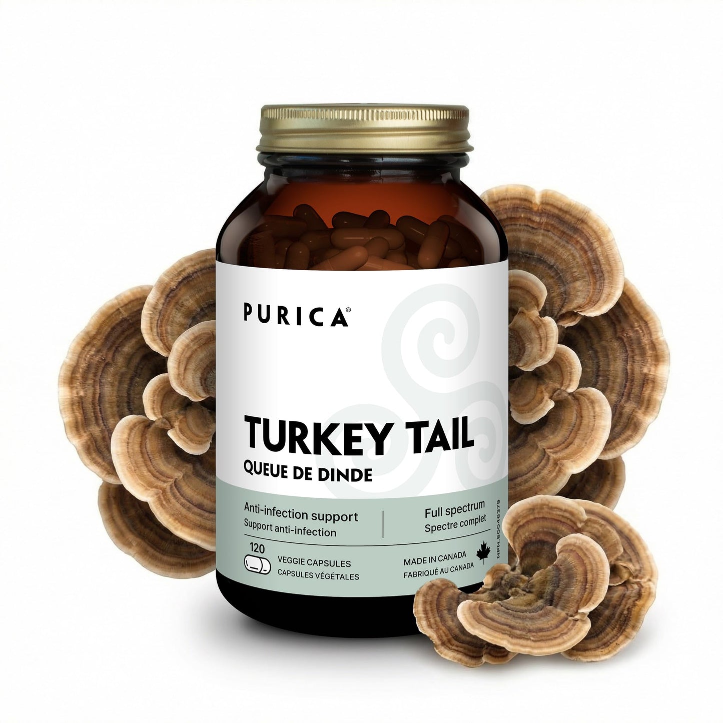 PURICA Coriolus Yunzhi Mushroom (Turkey Tail) 500mg Capsule 120 Count