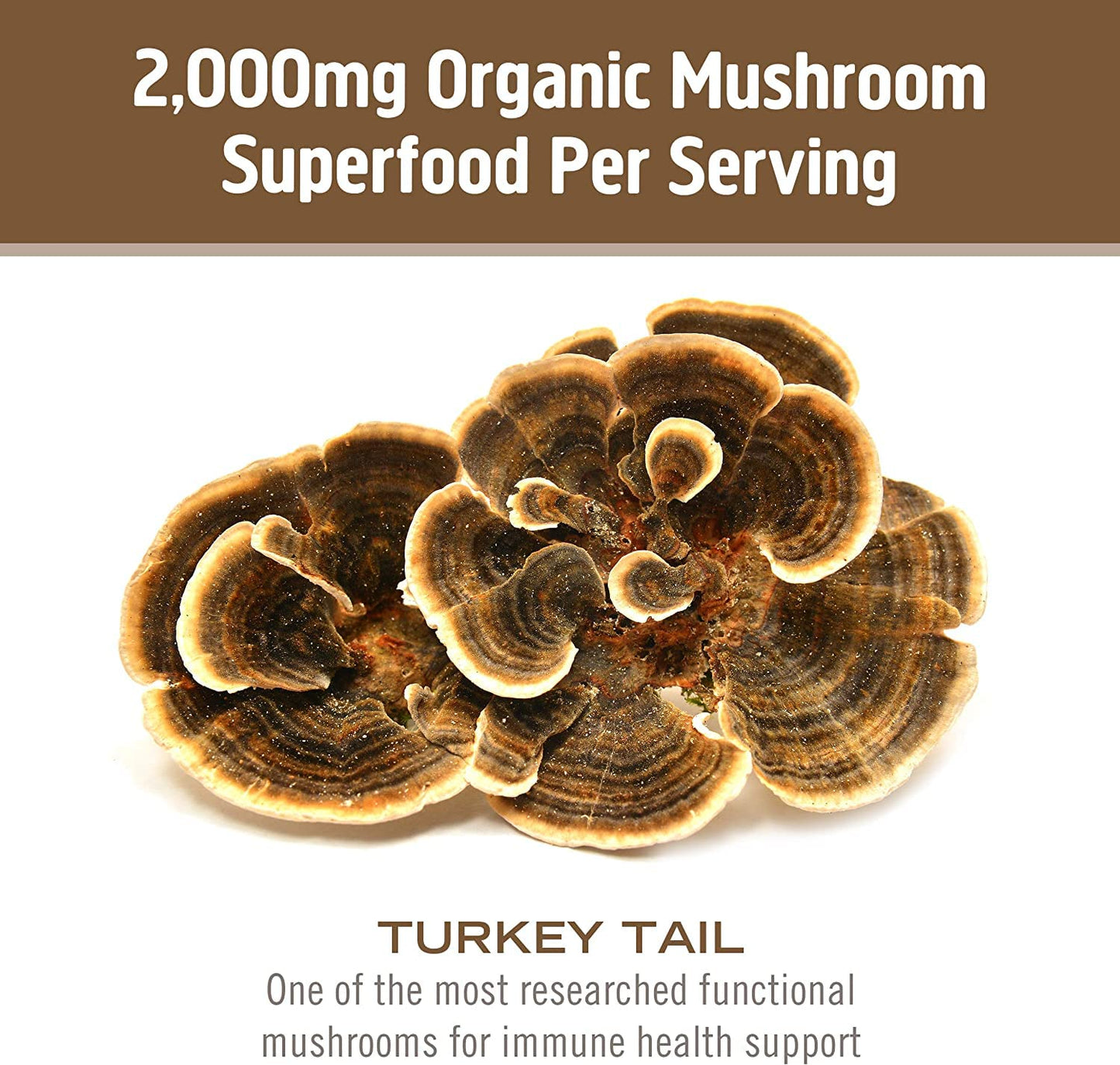 OM MUSHROOM SUPERFOOD Turkey Tail Mushroom Capsules, 90 Capsules