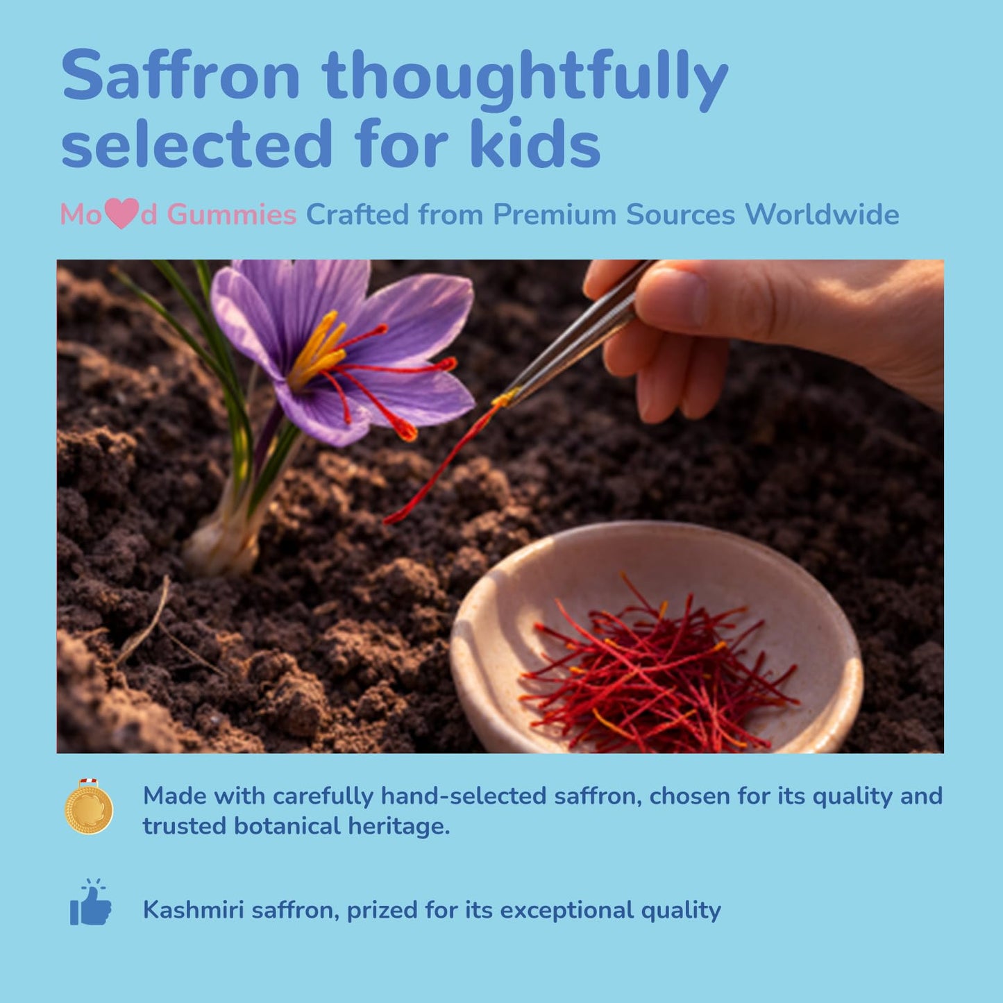 JerlyMush Saffron Gummies for Kids 60 Count