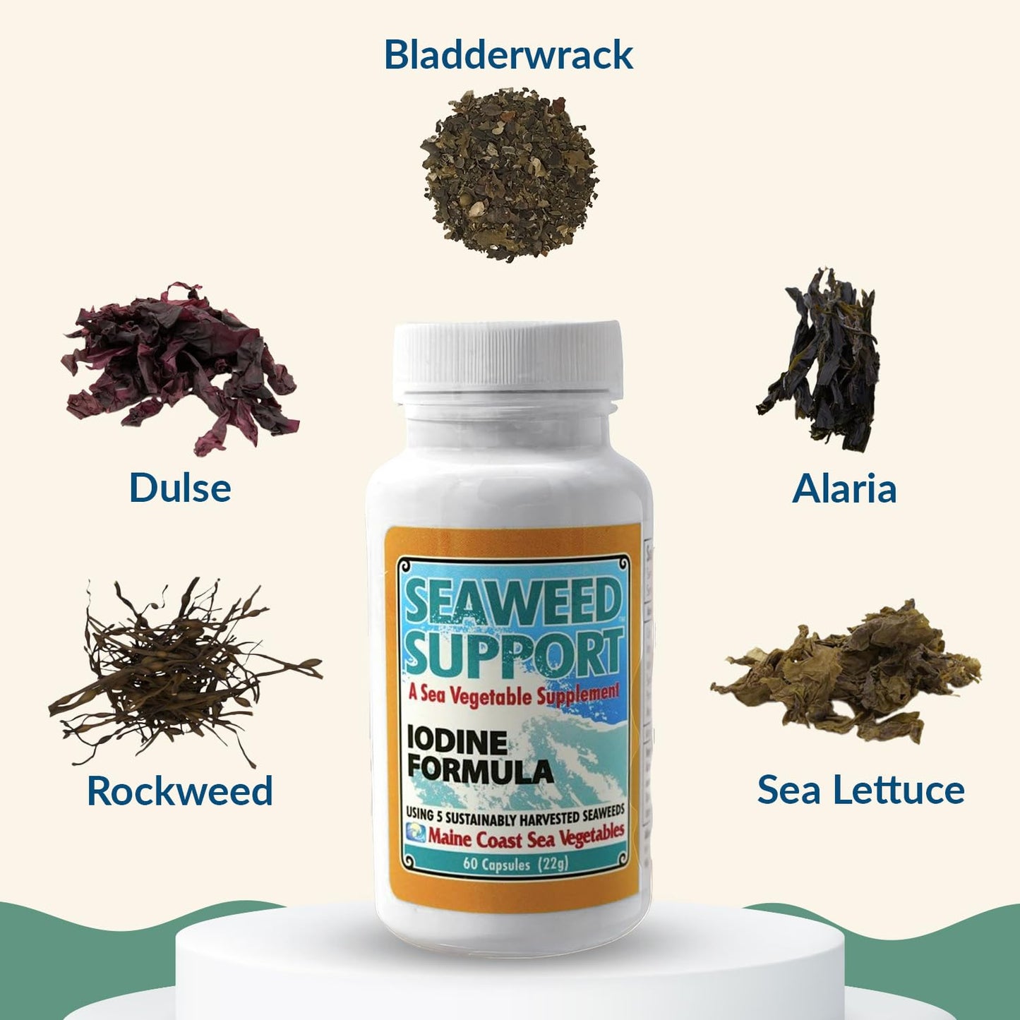 Maine Coast Sea Vegetables Seaweed Support Iodine Formula Capsule, 1 Capsule
