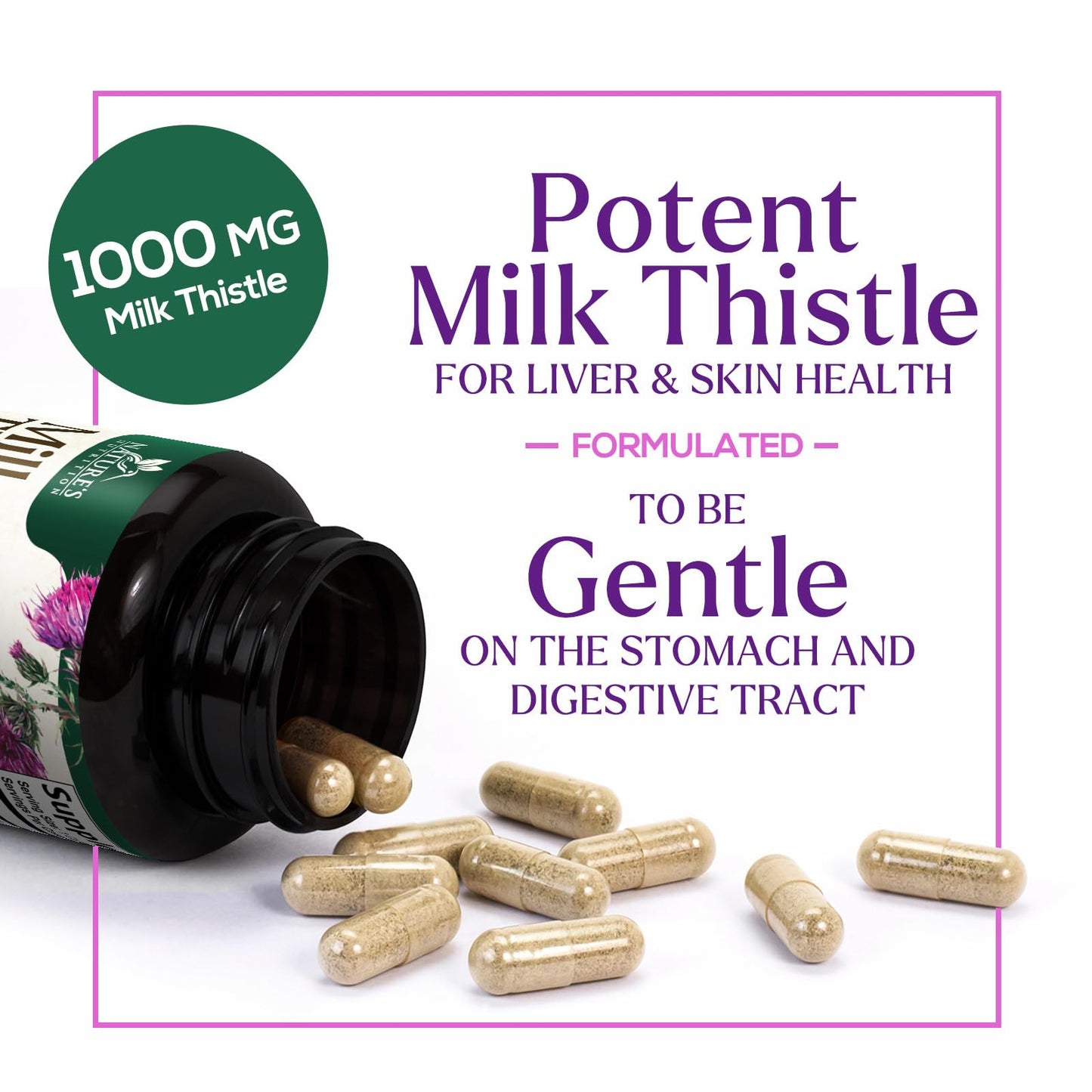 Nature's Nutrition Milk Thistle Extract Capsules 60 Count