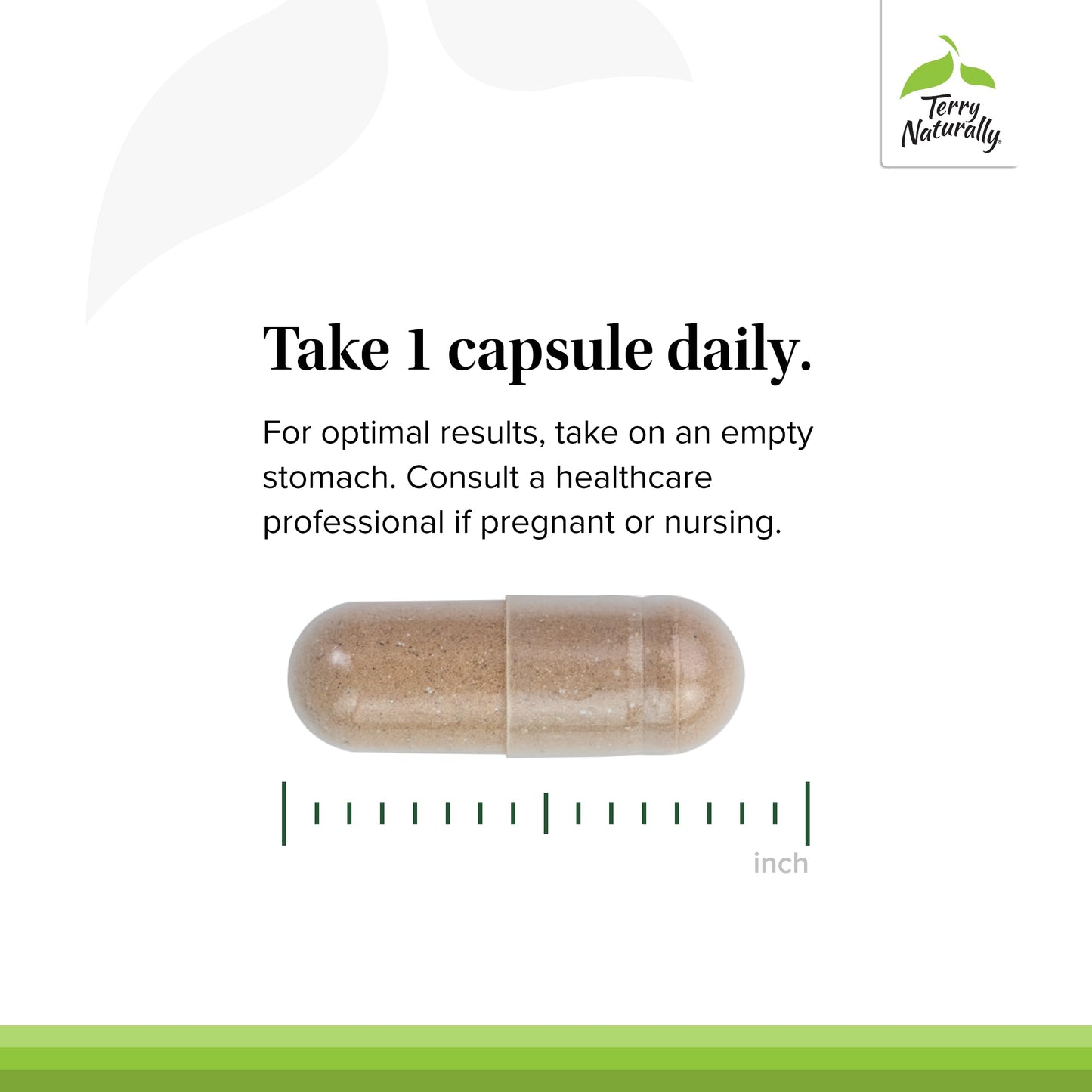 Terry Naturally Adaptra - Supplement to Support Adrenal Health - Ashwagandha Supplement with Rhodiola Rosea Extract - Herbal Supplement to Support Energy & Concentration Capsule 60 Count