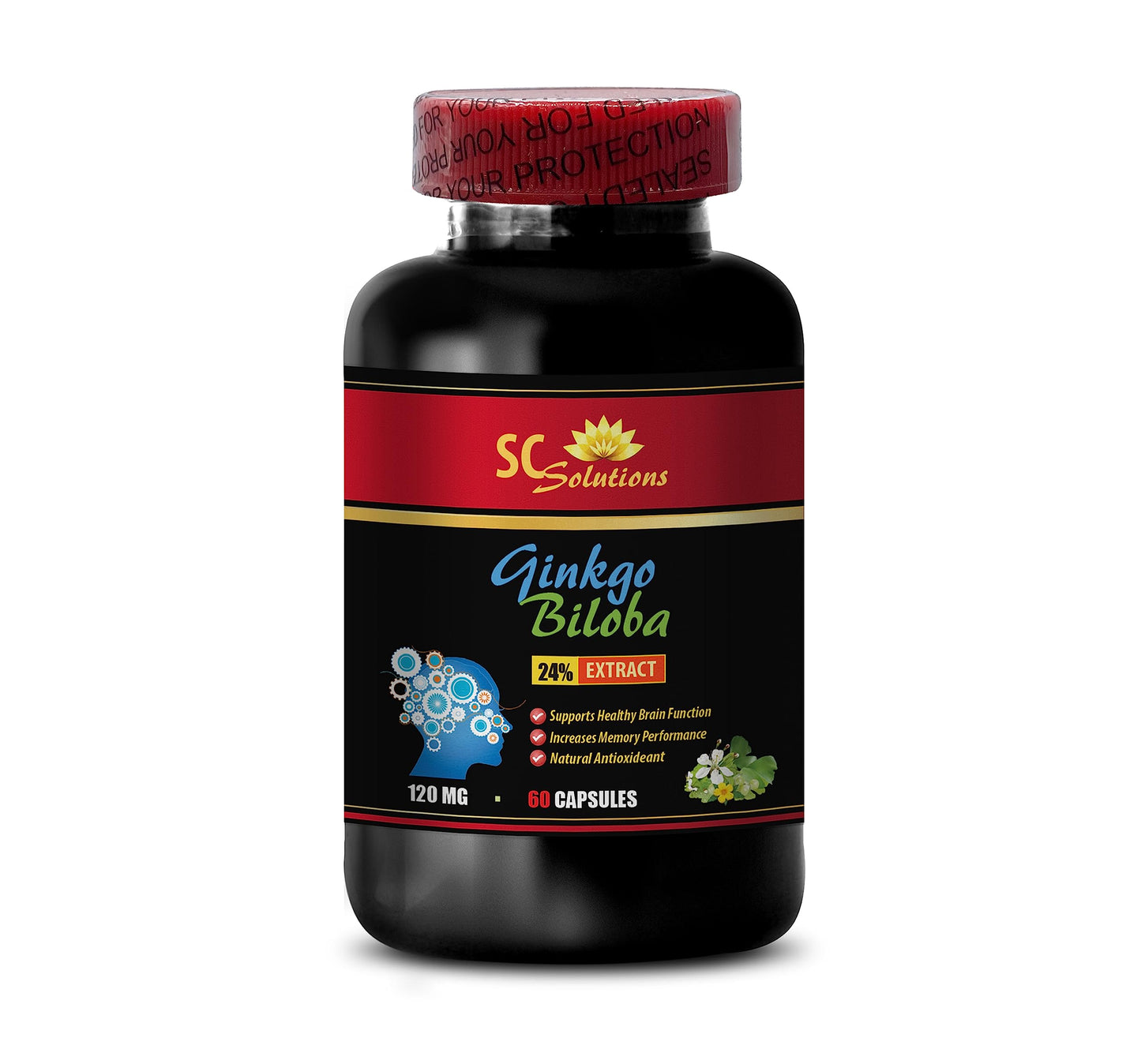 Skin Care Solution Ginkgo Biloba 24% Extract 120mg Capsules, 60 Count