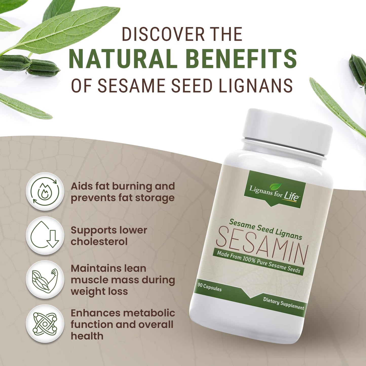 Lignans For Life Sesame Extract Capsule, 90 Count