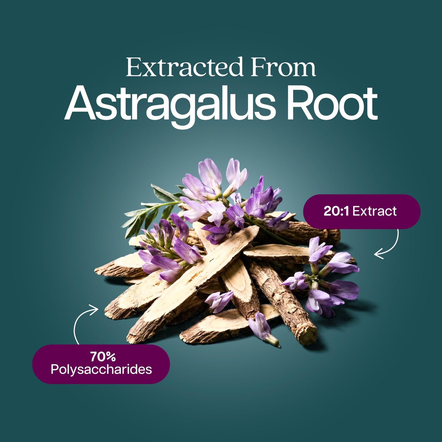 Purely Holistic Astragalus Root Capsules 250