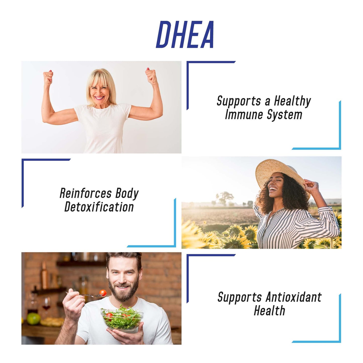 We Like Vitamins DHEA 100mg Capsules, 200 Count