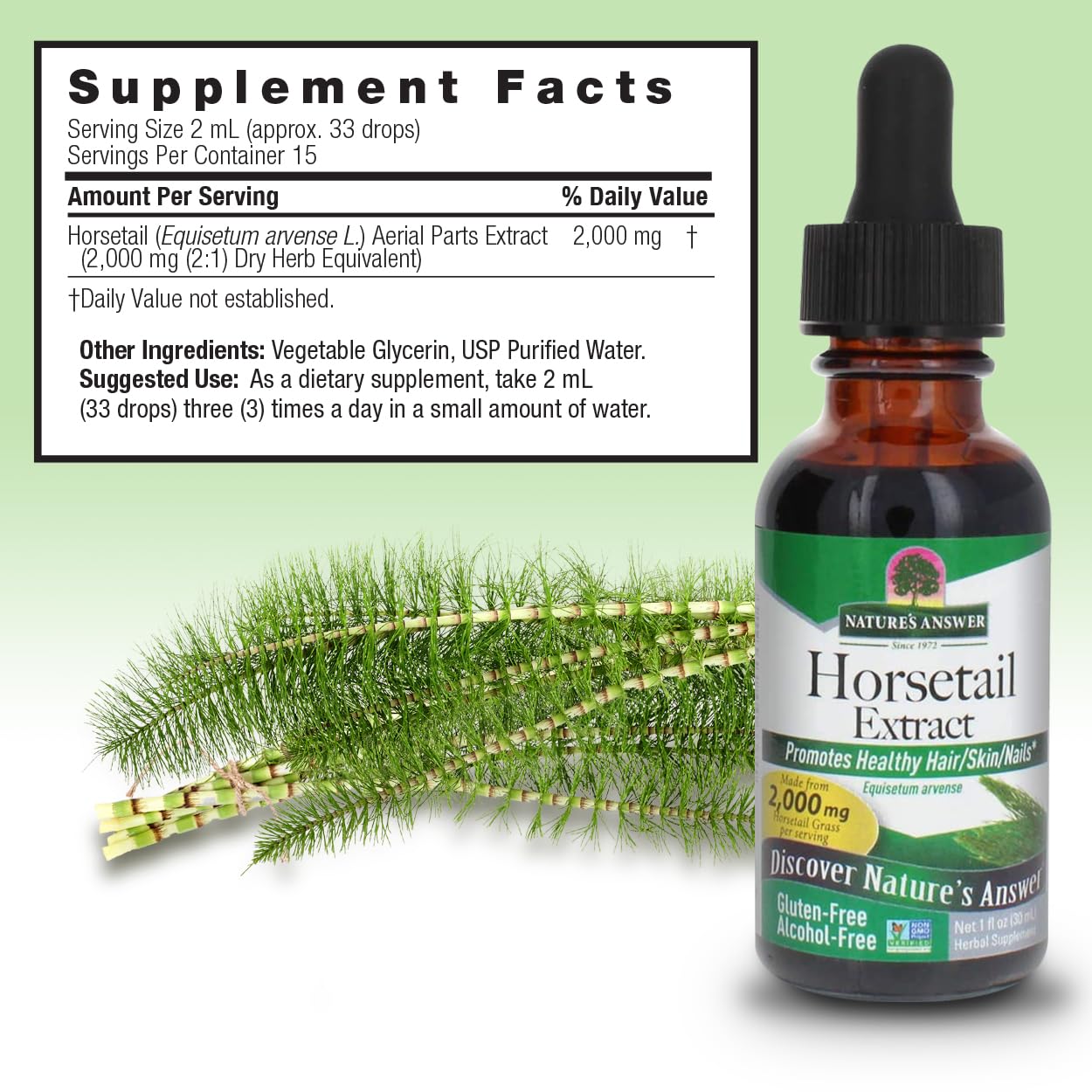Nature's Answer Horsetail Herb Capsules 90 Count