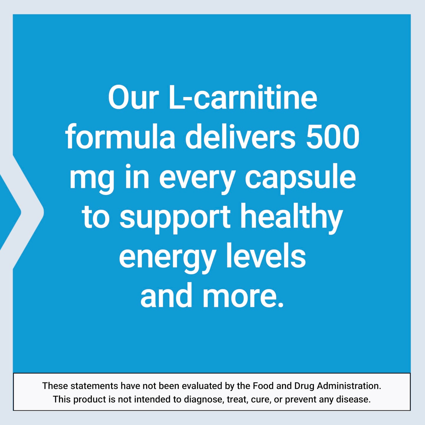 Life Extension L-Carnitine 500 mg Capsules, 60 Count