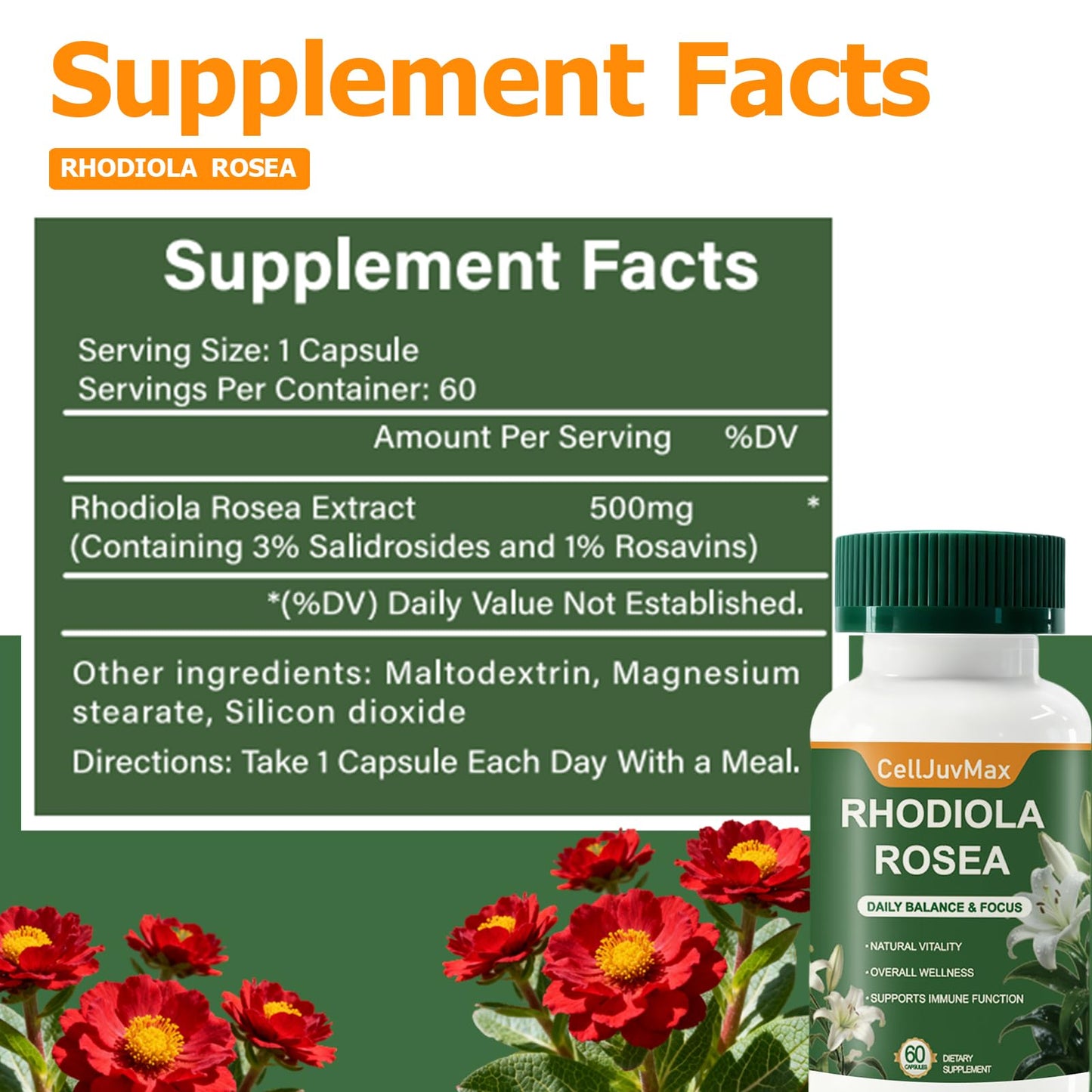 PBZPBZ Rhodiola Rosea 500mg Capsules, 1 Count