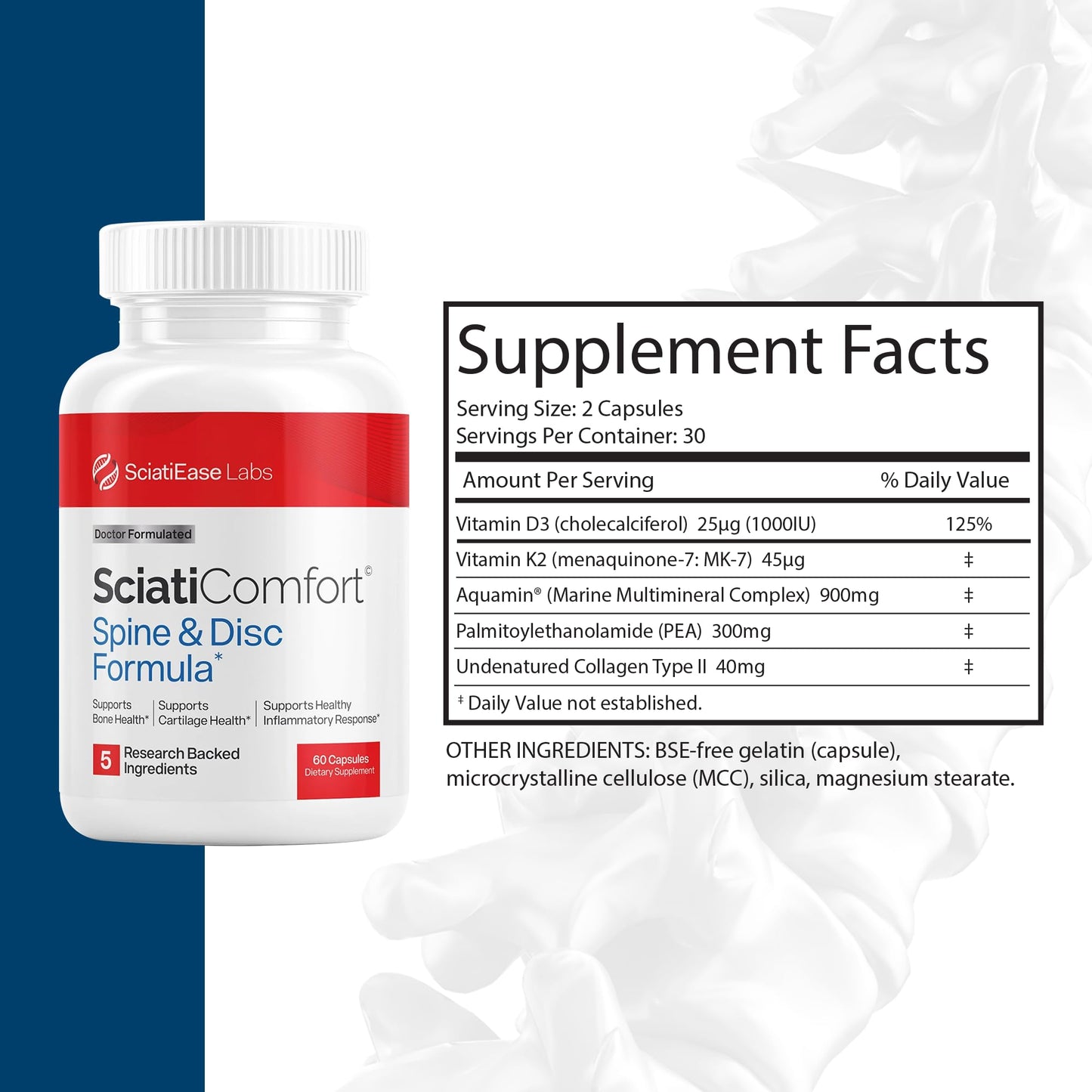 SciatiEase SciatiComfort Spine and Disc Support Supplement Capsules, 60 Count