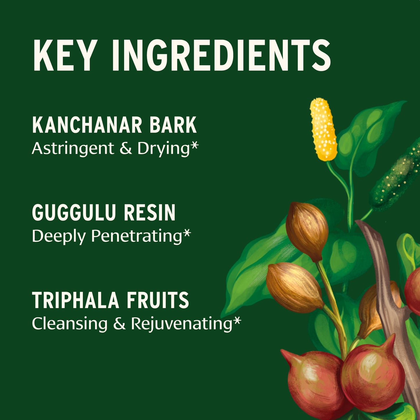 Banyan Botanicals Kanchanar Guggulu Tablets, 90 Tablets