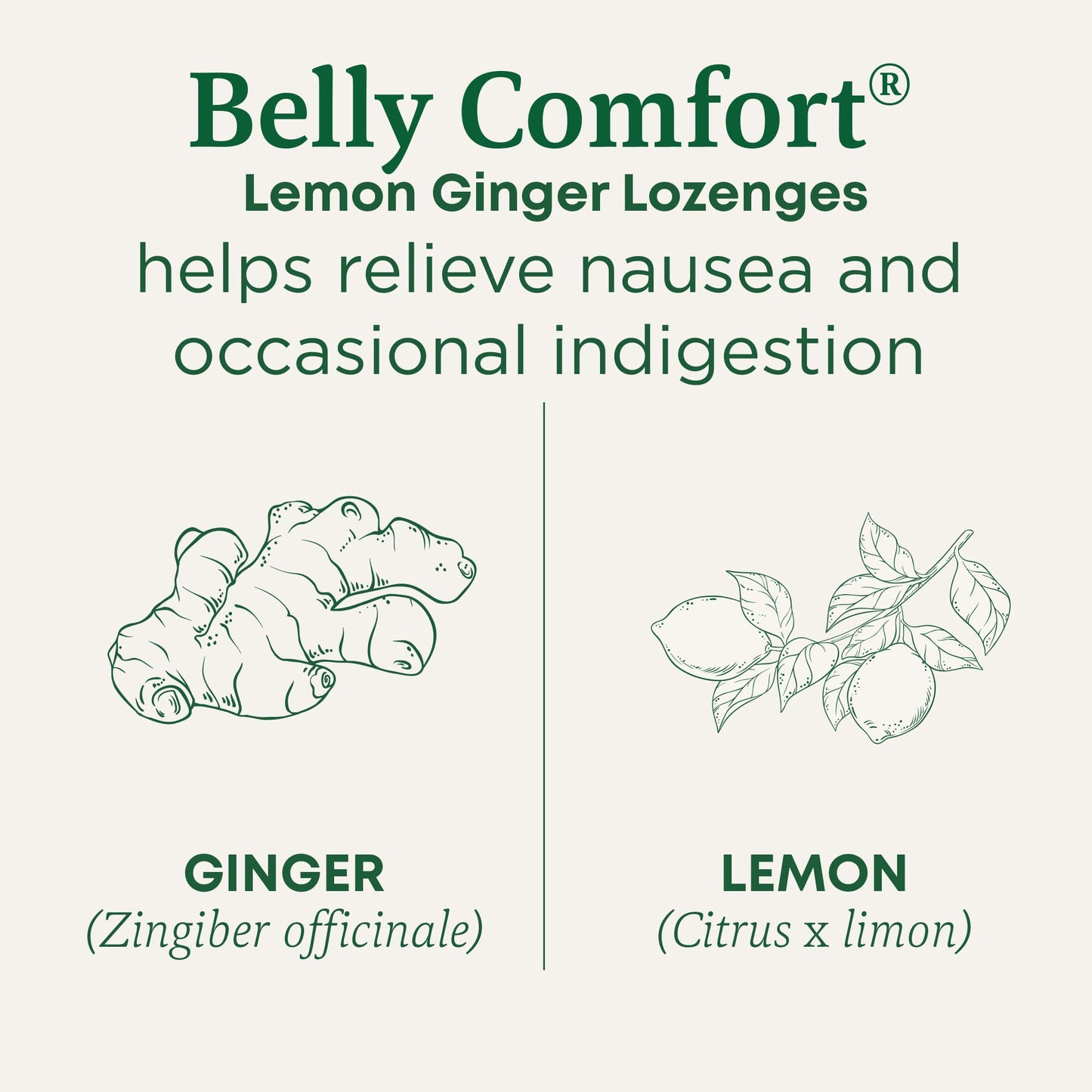 Traditional Medicinals Organic Belly Comfort Lozenges Lemon Ginger, Lozenge, 30