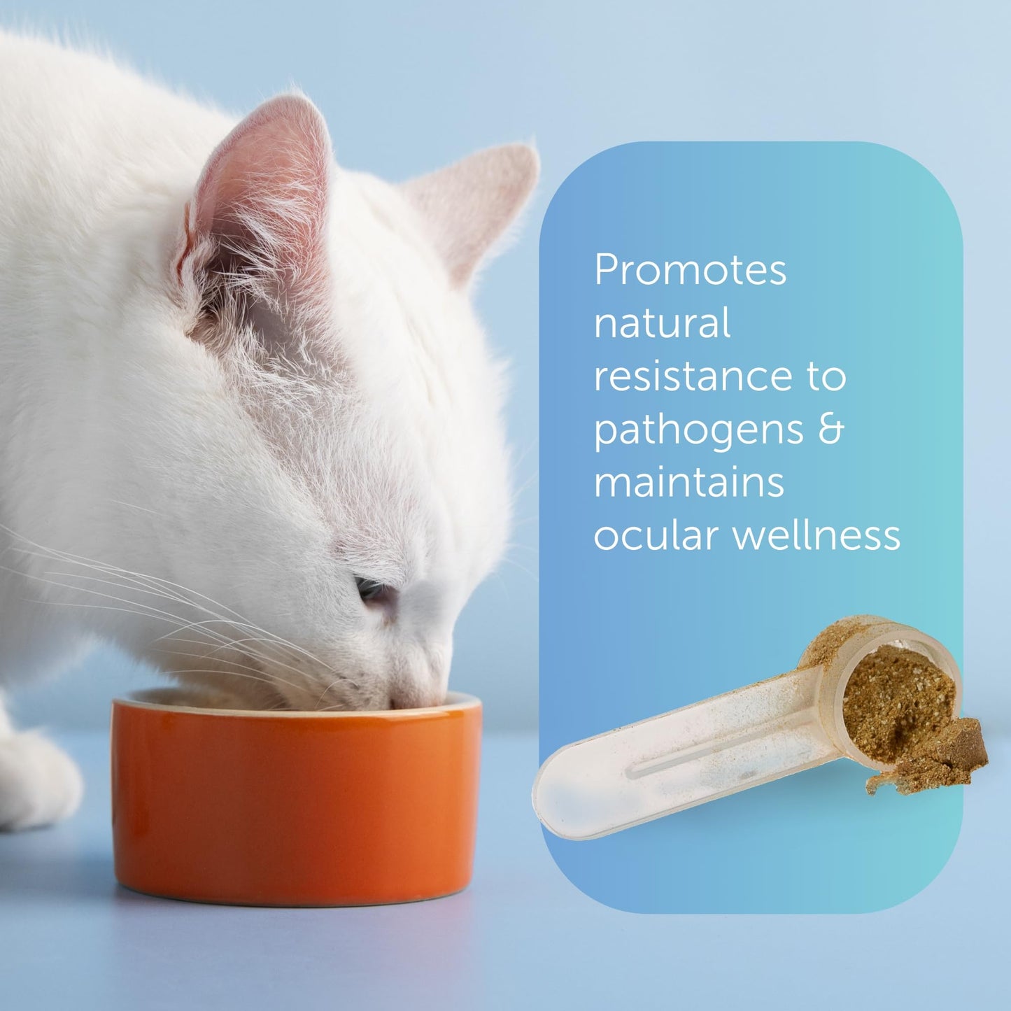 Veterinarian Recommended Solutions Immuno-5 Immune & Respiratory Support for Cats Powder 1
