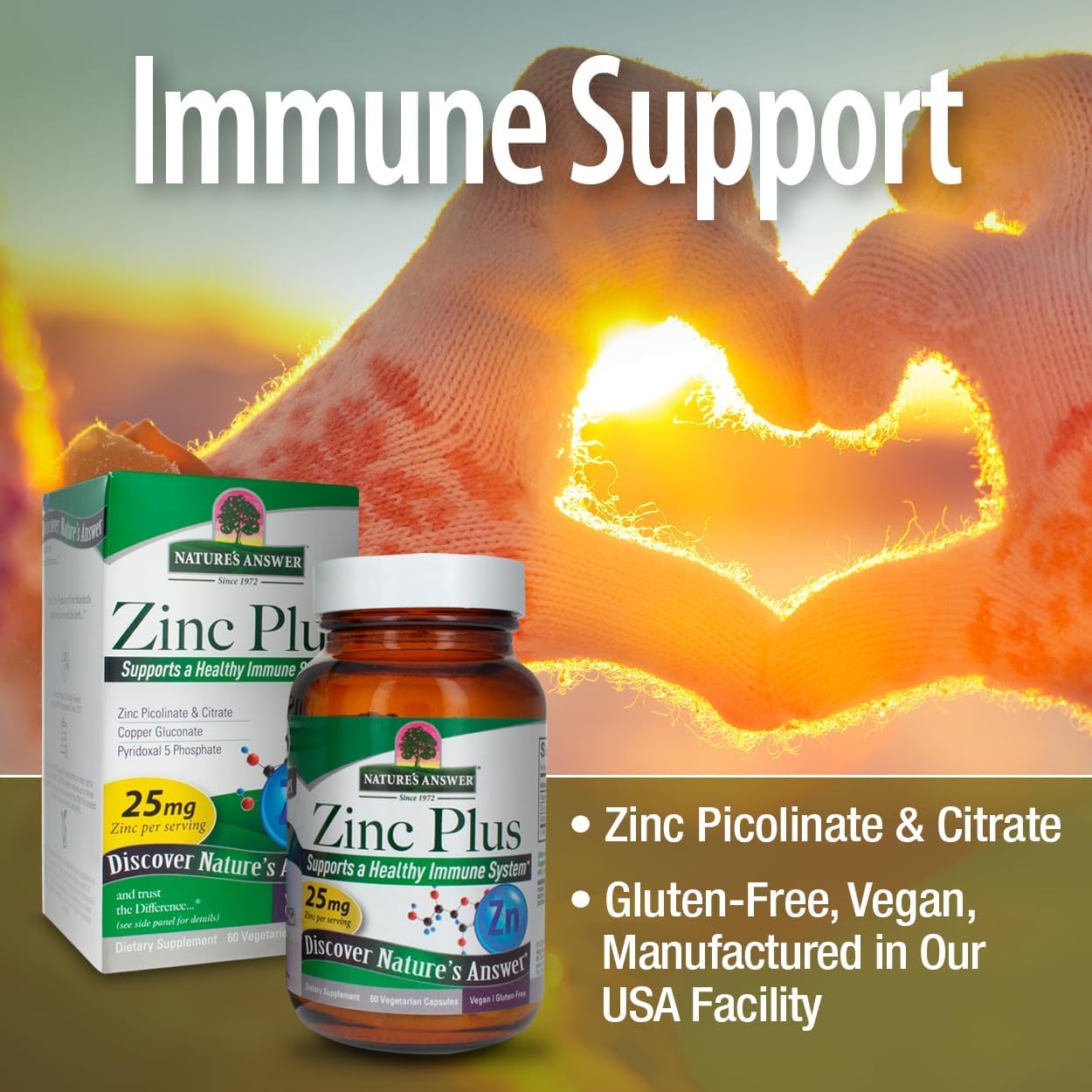 Nature's Answer Zinc Plus + Vitamins for Adults Immune Support with B6 Capsules, 60 Count