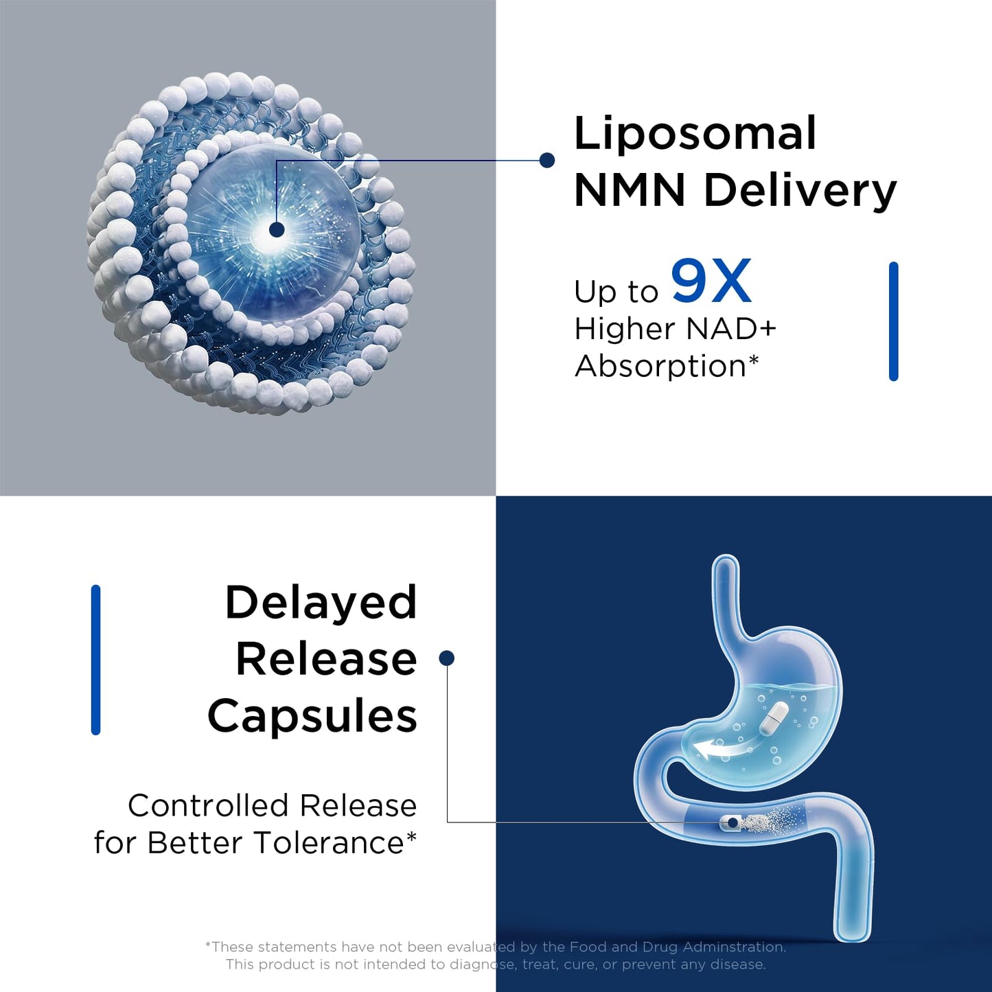 Selerb NMN Liposomal Neuro NMN Supplement 60 Capsules