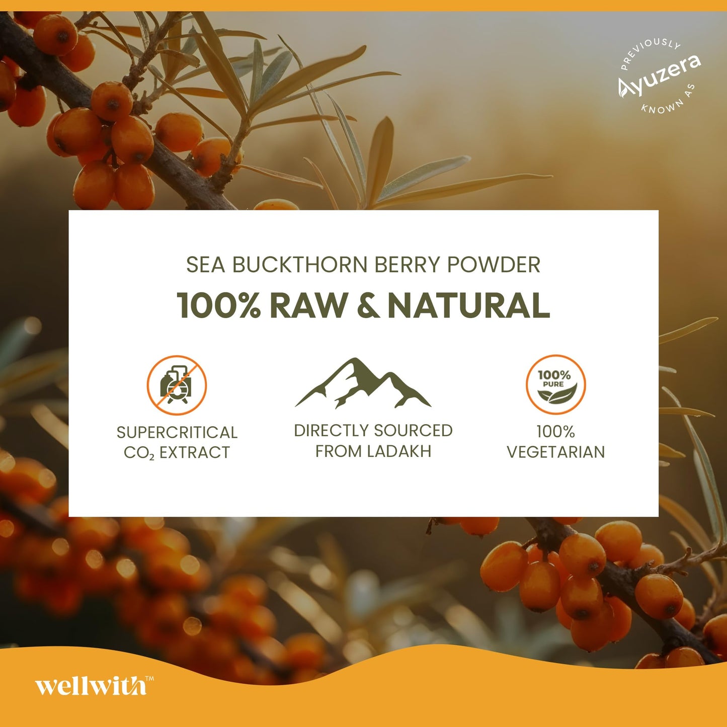 Wellwith Himalayan Sea Buckthorn Berry Oil 500mg Capsules, 90 Capsules