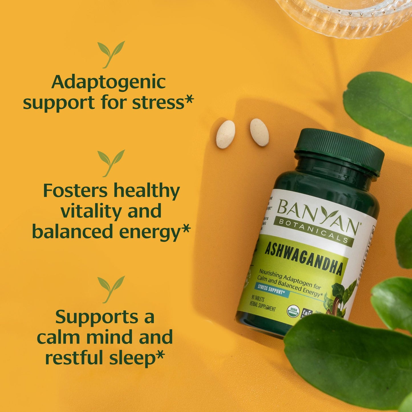 Banyan Botanicals Ashwagandha 1000mg Tablet, 90 Count