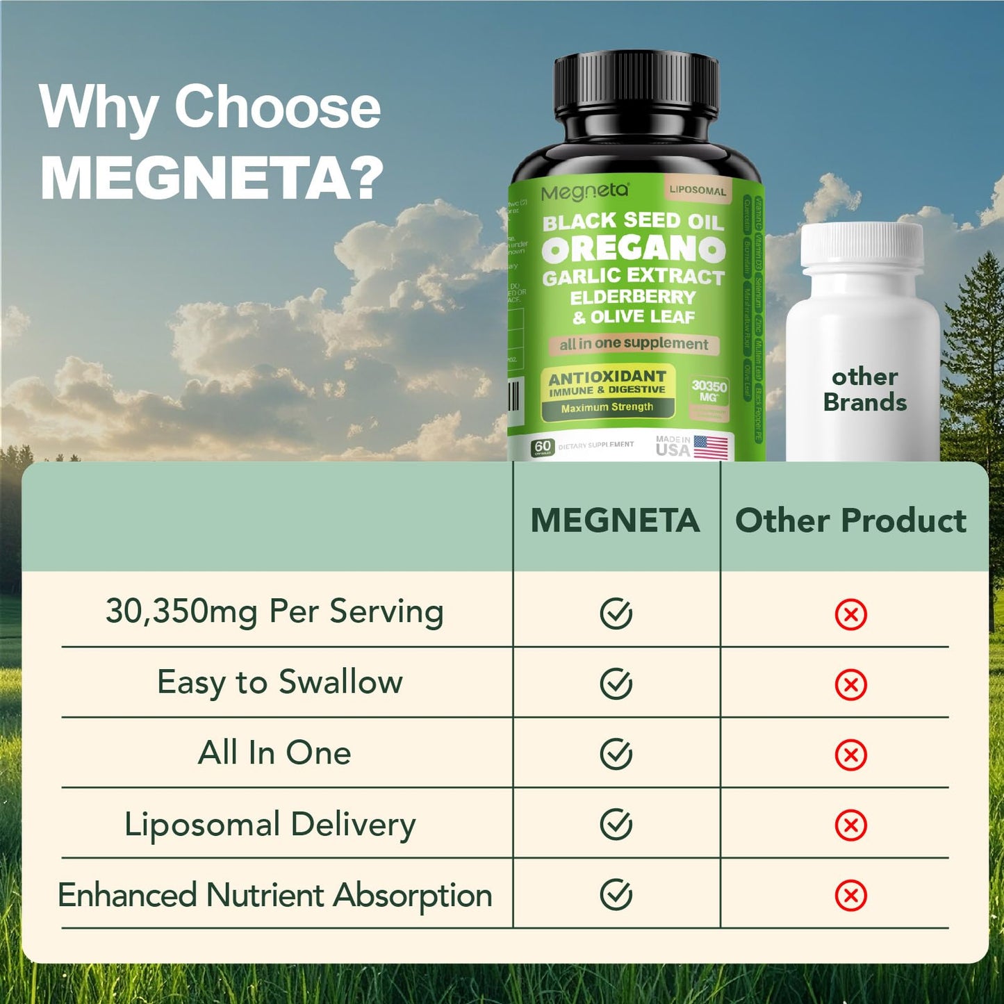 MEGNETA 10-in-1 Oregano Oil Capsules, 60 Count