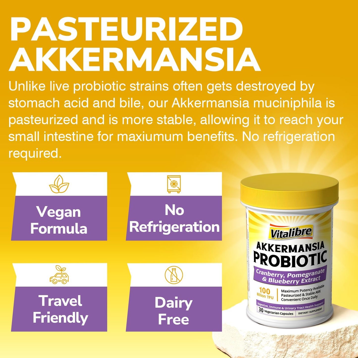 Vitalibre Akkermansia Probiotics 100 Billion TFU, Pasteurized Akkermansia Muciniphila, w/Cranberry, Blueberry & Pomegranate, Digestive & Immune Health, Leaky Gut, GLP-1 Supplement, 30 Capsules