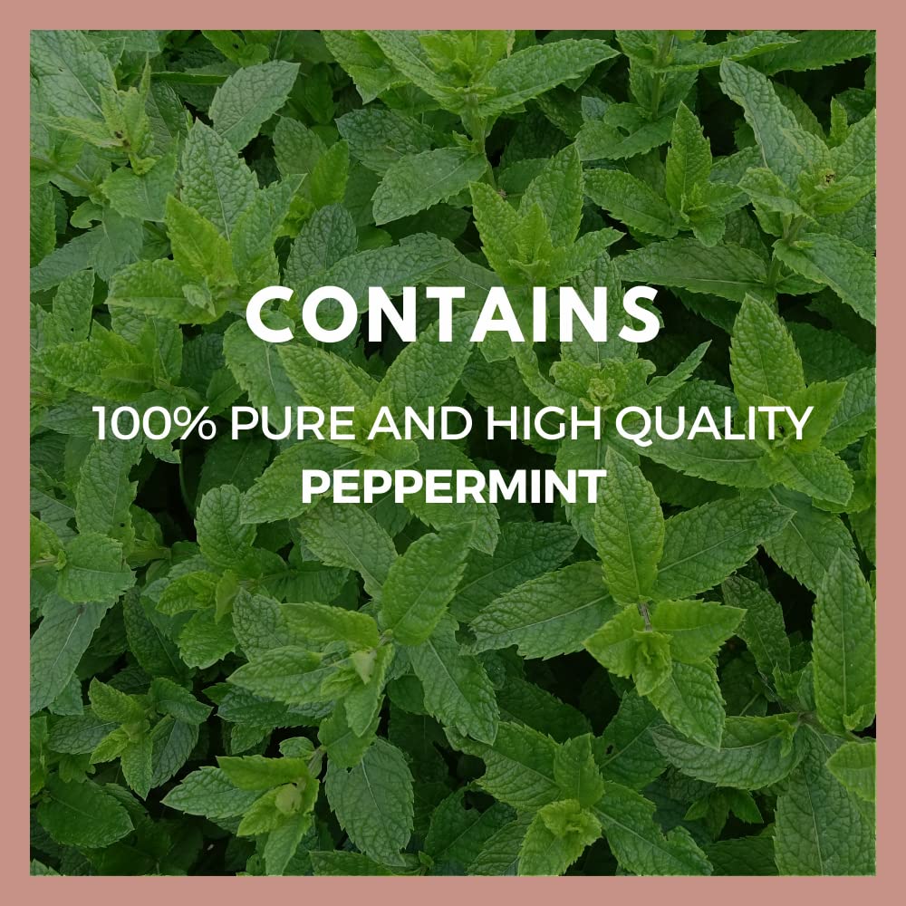 Remedy’s Nutrition Peppermint Leaf 1000 mg Capsules, 60 Count