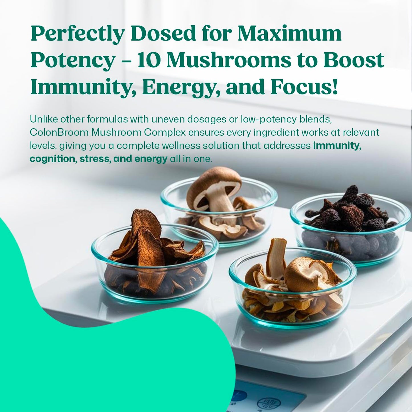 ColonBroom Mushroom Complex, Powerful Mushroom Blend with Cordyceps, Reishi, Shiitake, Lion’s Mane Extract for Energy, Immunity, Stress Relief & Cognitive Health, 60 Capsules
