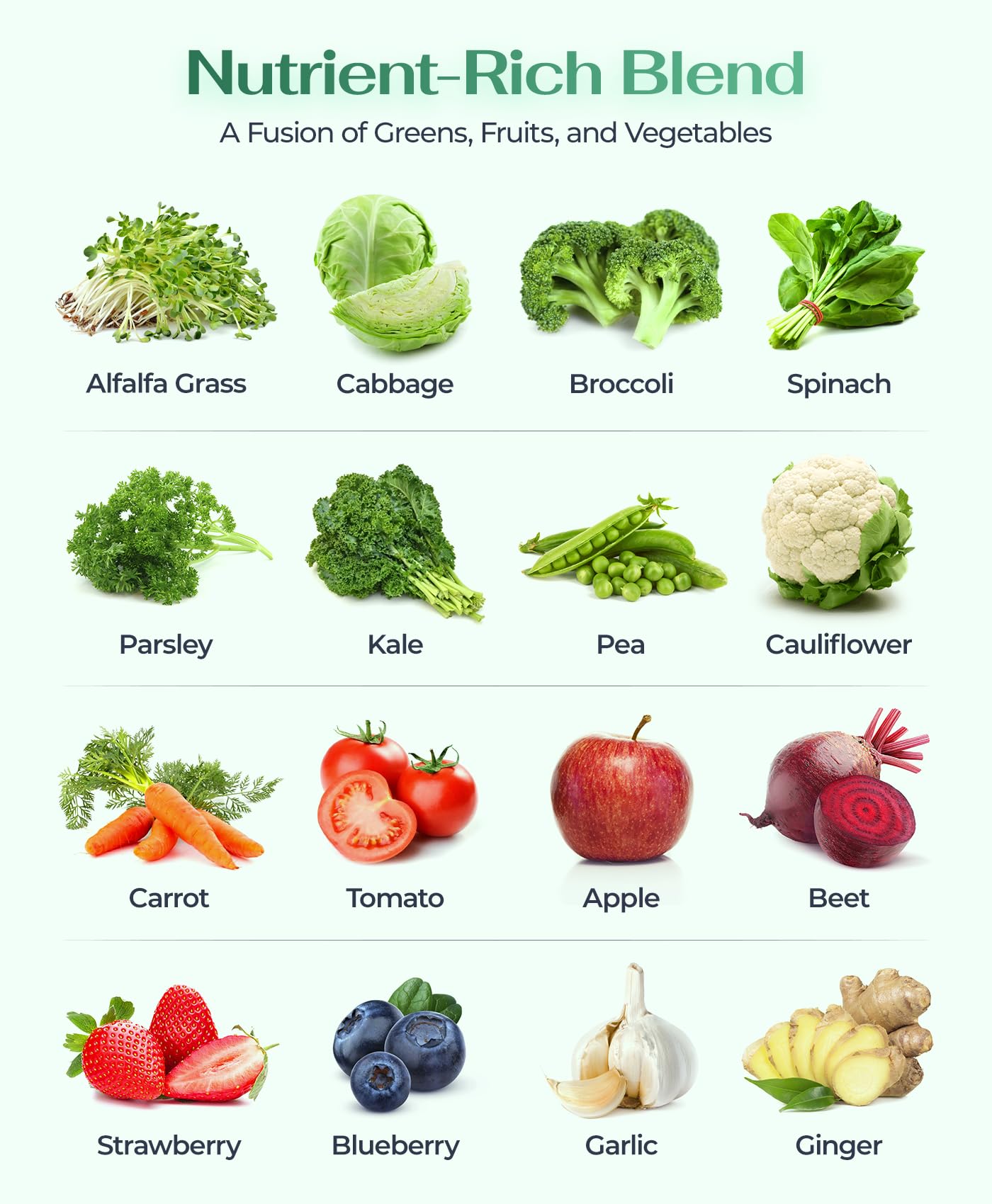 logos nutritionals MagnifiGreens - Super Greens, Fruits and Vegetables Supplements | 28 Ingredients with Alfalfa, Tart Cherry & More | Support Energy Level & Gut Health | Non-GMO, 60 Tablets