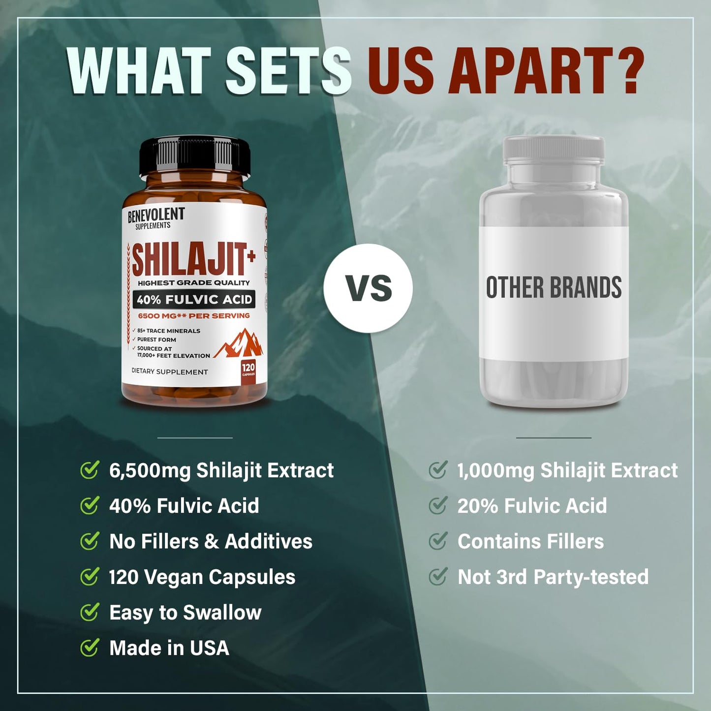 Benevolent Nourishment Shilajit 6500mg Capsules, 120 Count
