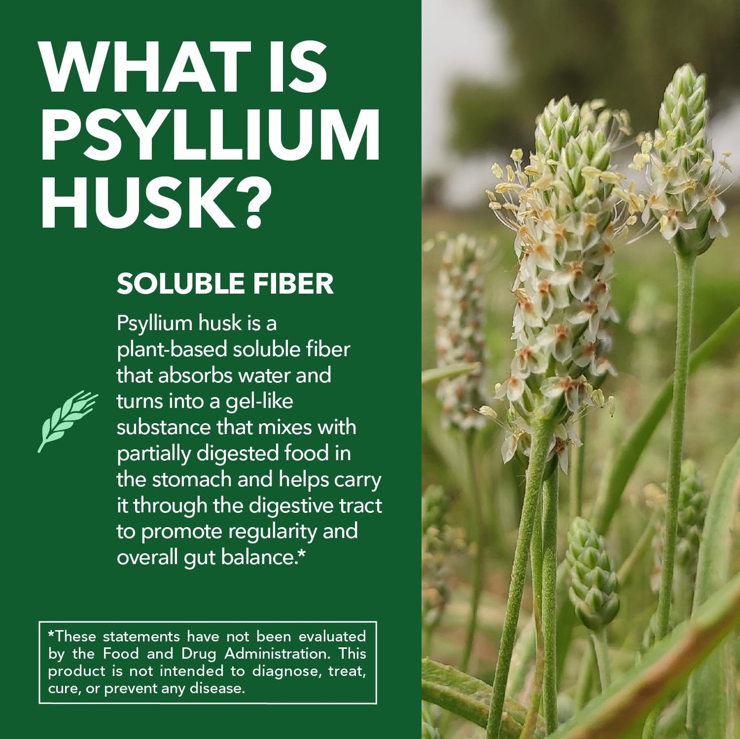 HAVASU NUTRITION Vegan Psyllium Husk Fiber Capsules, 270 Count